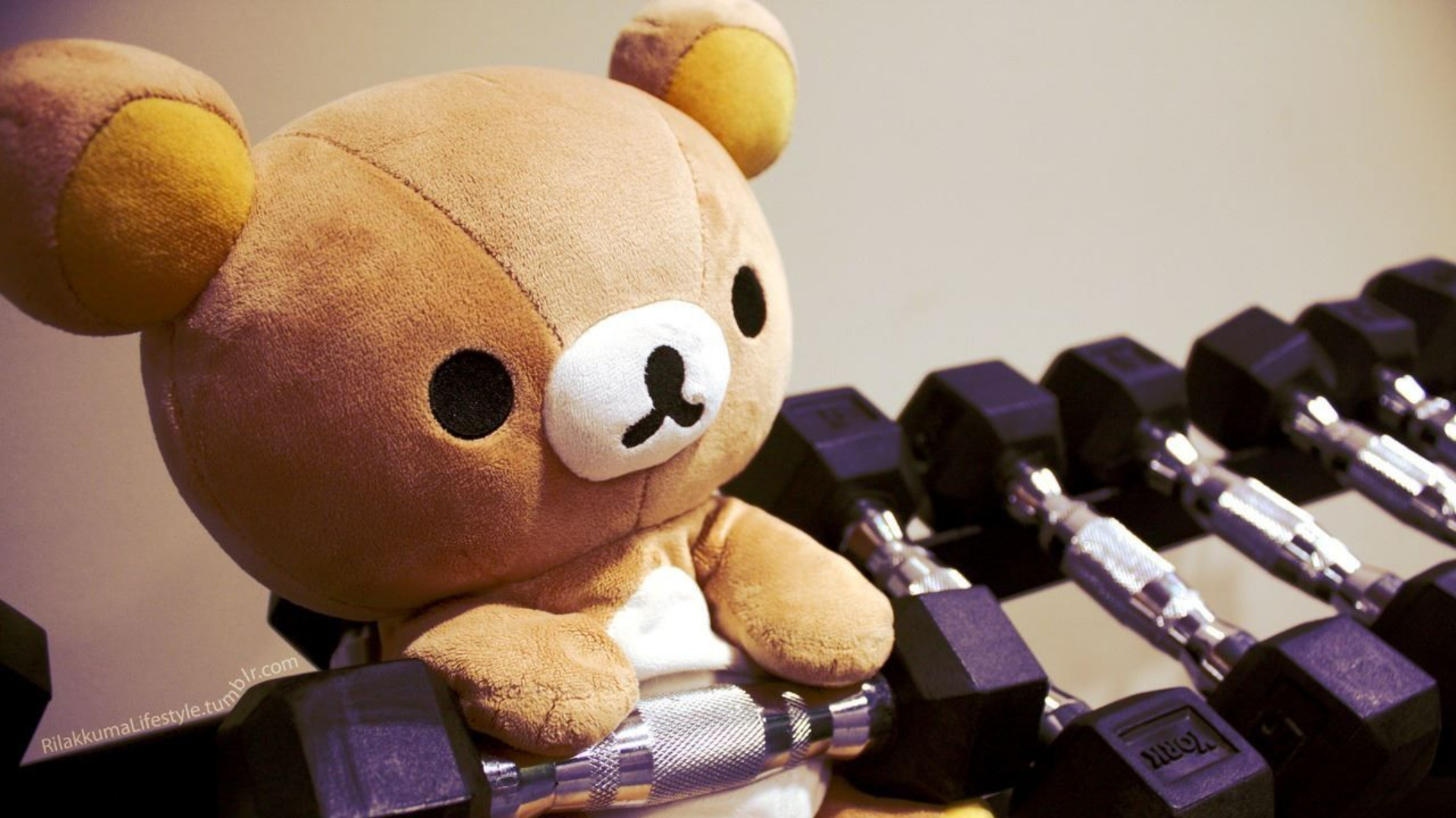 Rilakkuma Wallpaper