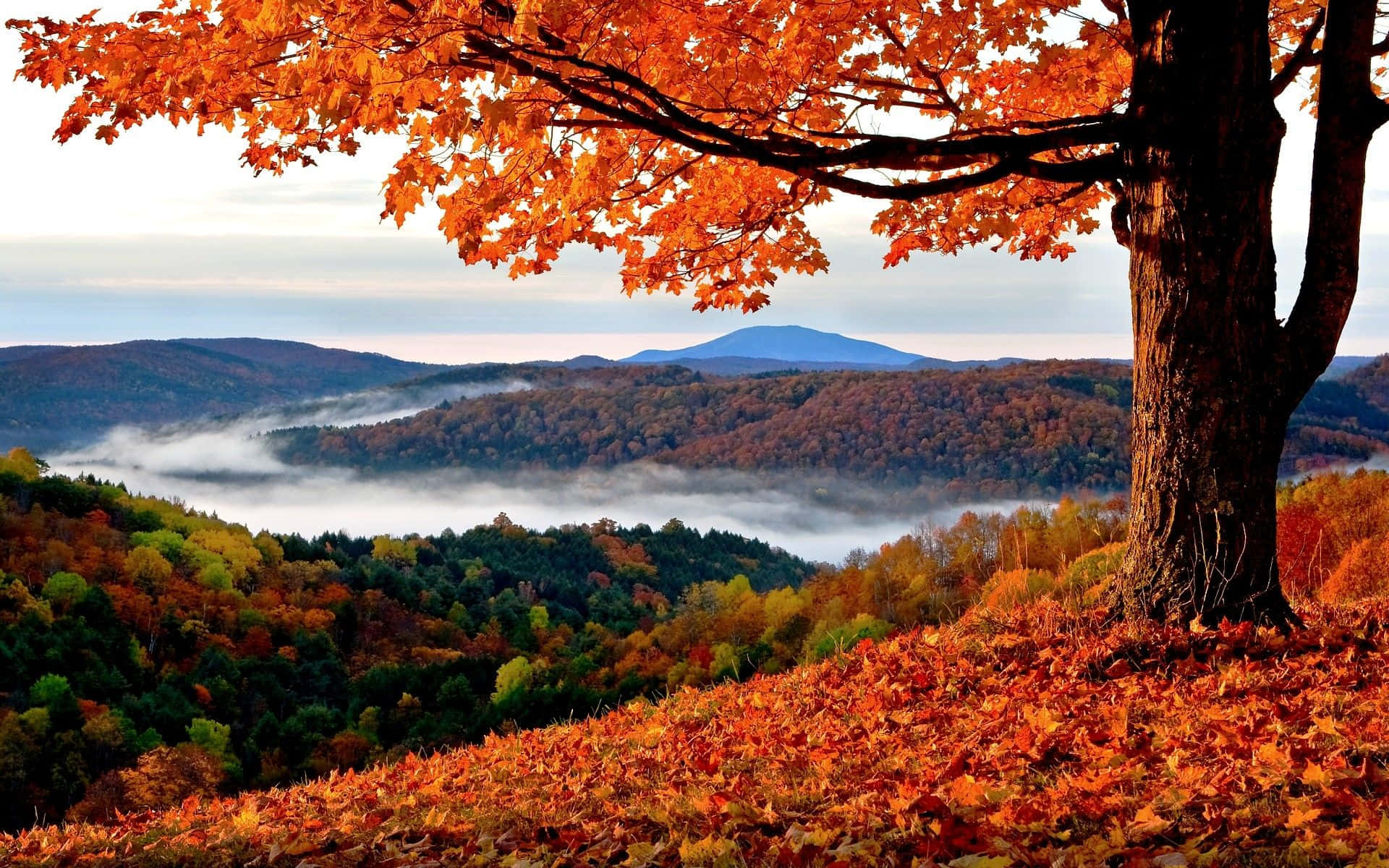 Fall Mountain Wallpaper