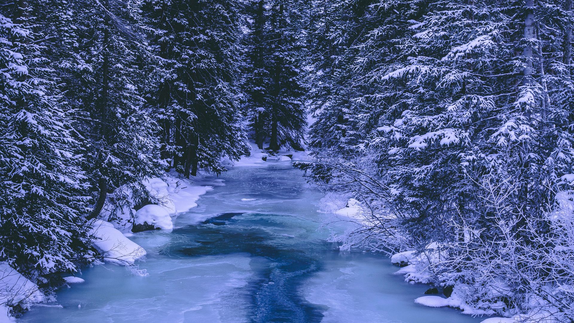Download wallpaper 1920x1080 forest, winter, river, snow, ice, trees full hd, hdtv, fhd, 1080p HD background