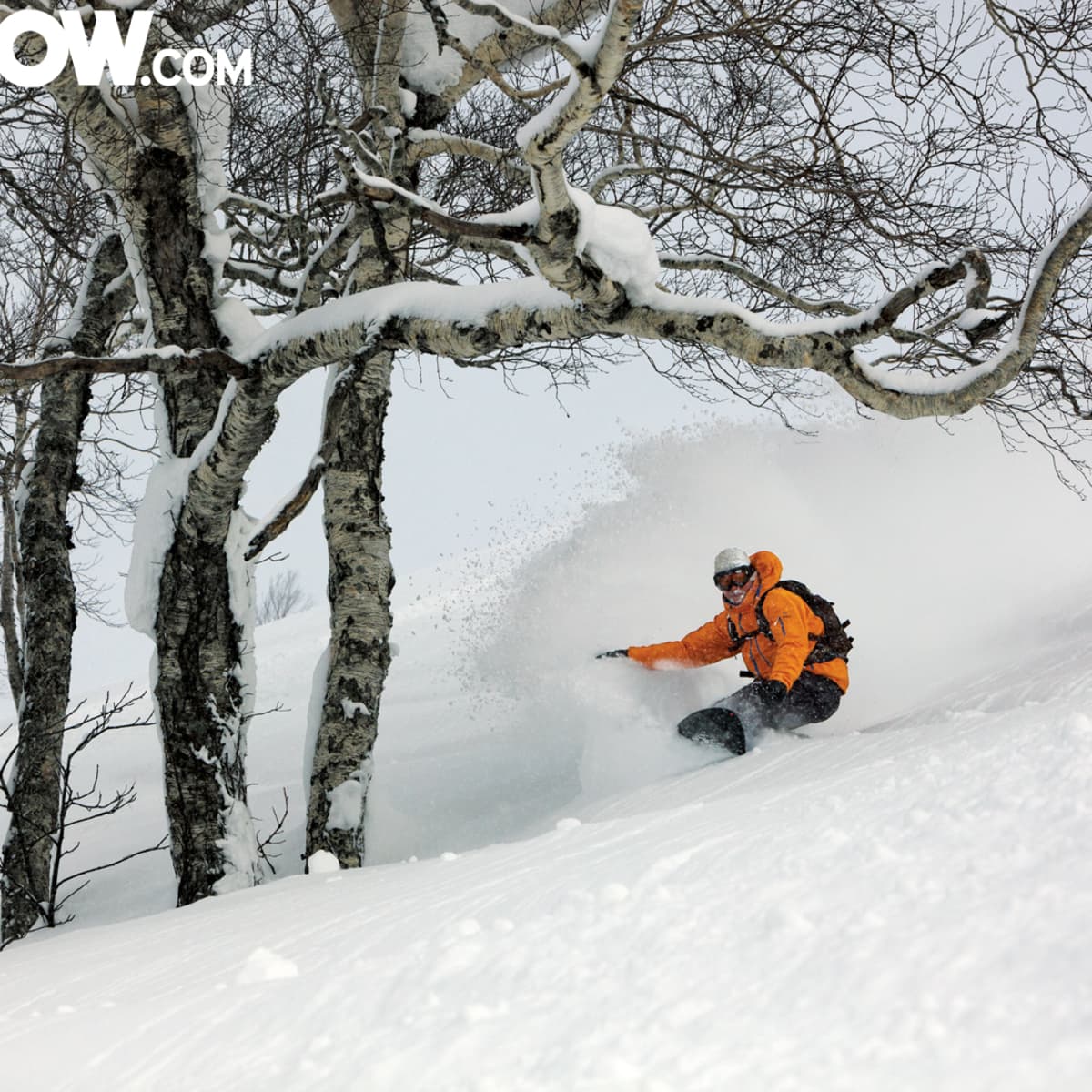 Wallpaper Wednesday: Powder Surfing in Japan. TransWorld SNOWboarding Magazine