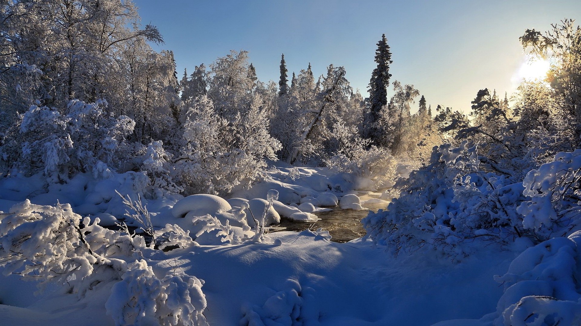 Winter, river, steam, trees, snow. picture, photo, desktop wallpaper