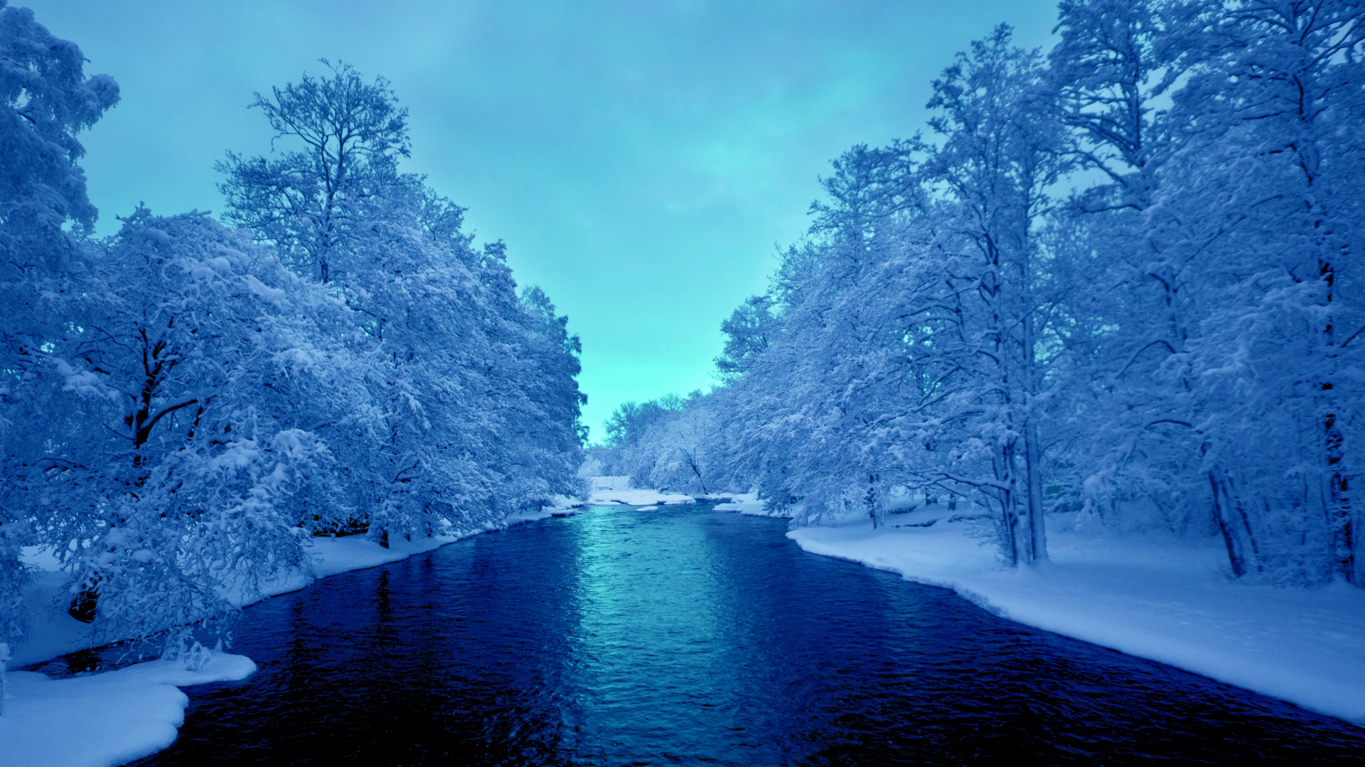 River Between Trees Under Blue Sky During Daytime Full HD