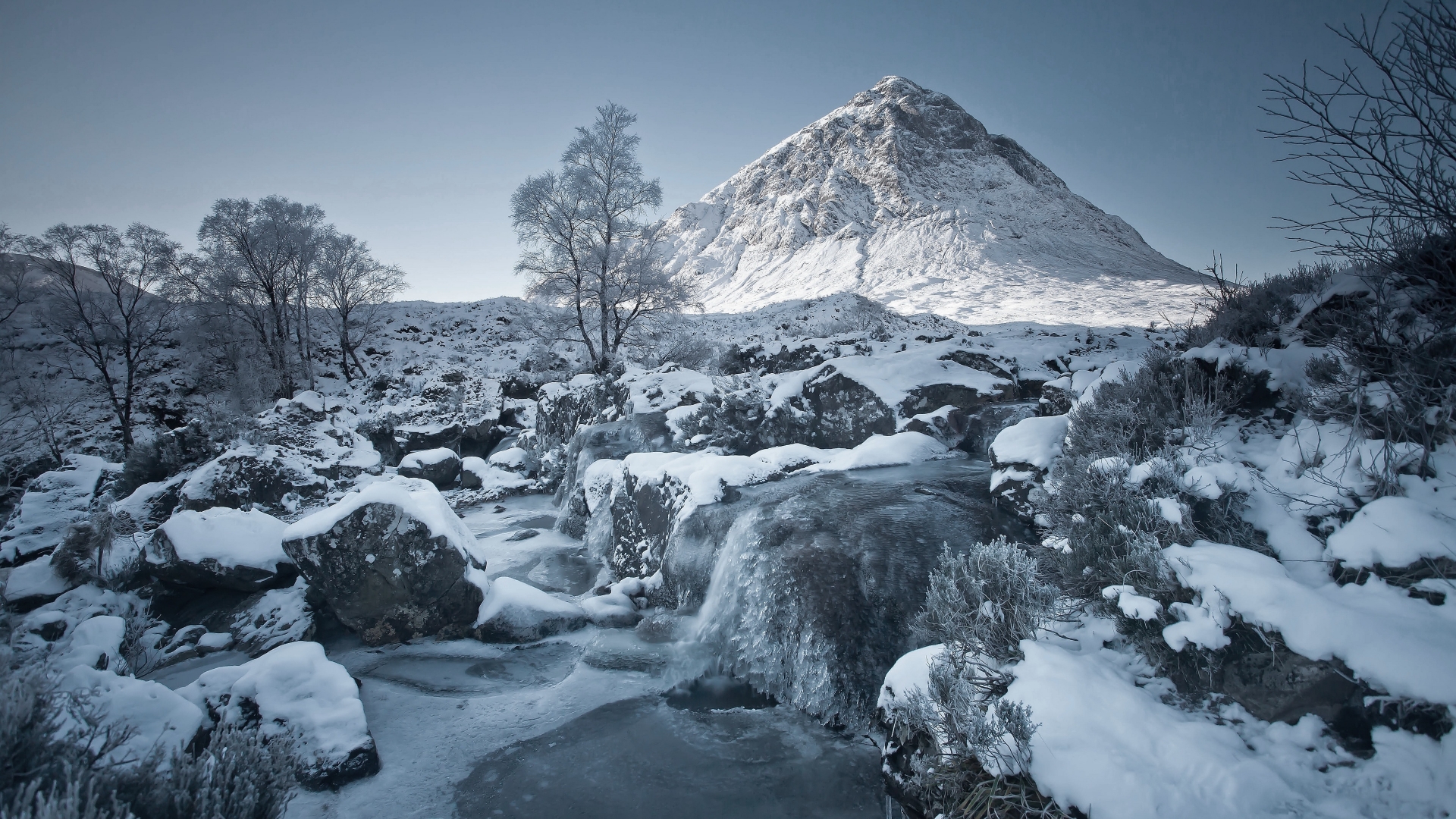 Nature Winter HD Wallpaper
