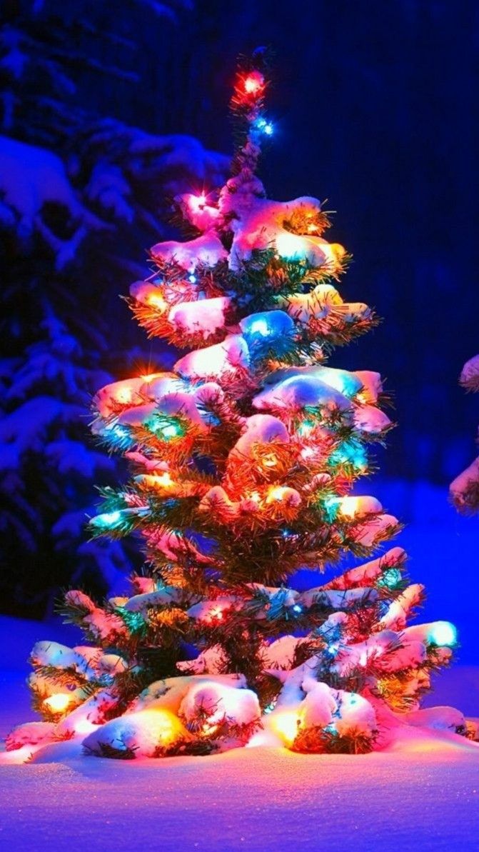Christmas. Christmas tree wallpaper, Wallpaper iphone christmas, Christmas lights wallpaper