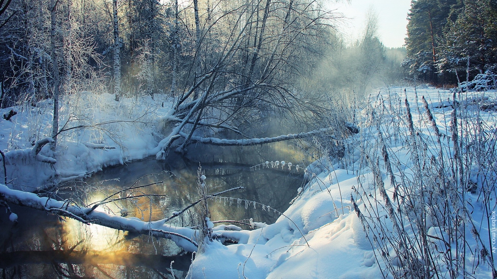 Winter, river, snow, shore, hoarfrost, landscape, morning, tree. picture, photo, desktop wallpaper