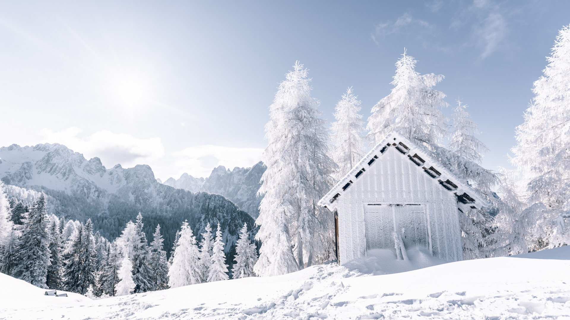 Download wallpaper 1920x1080 winter, landscape, forest, white tree, snowfrost, hut, full hd, hdtv, fhd, 1080p wallpaper, 1920x1080 HD background, 17270