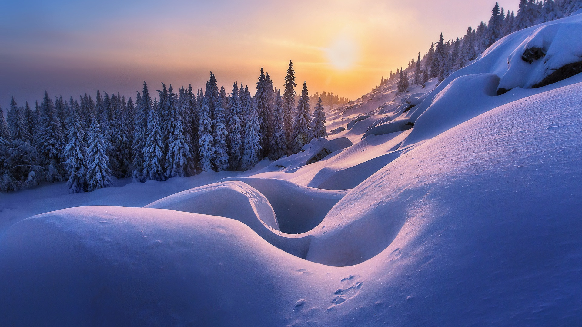 Download wallpaper winter, forest, snow, trees, ate, slope, the snow, Russia, section landscapes in resolution 1920x1080