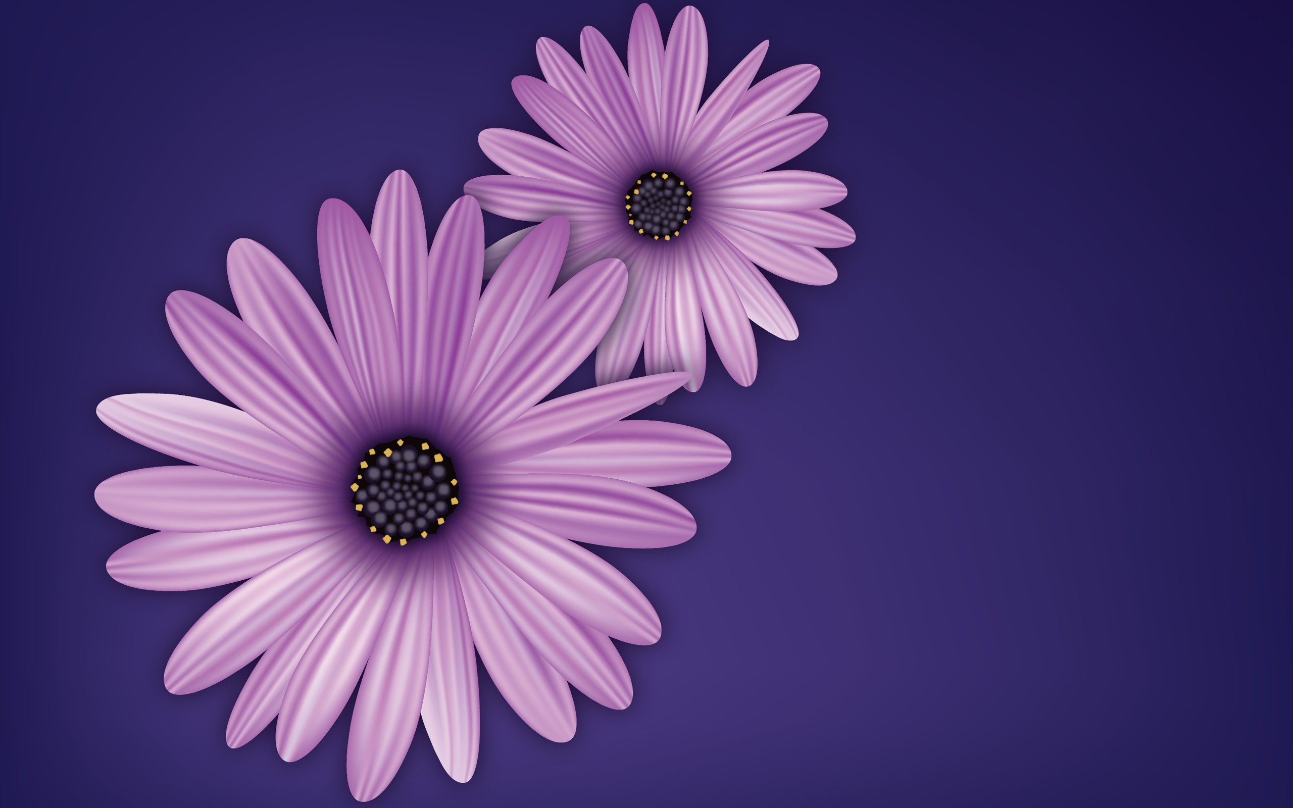 flowers purple vector digital art simple background wallpaper