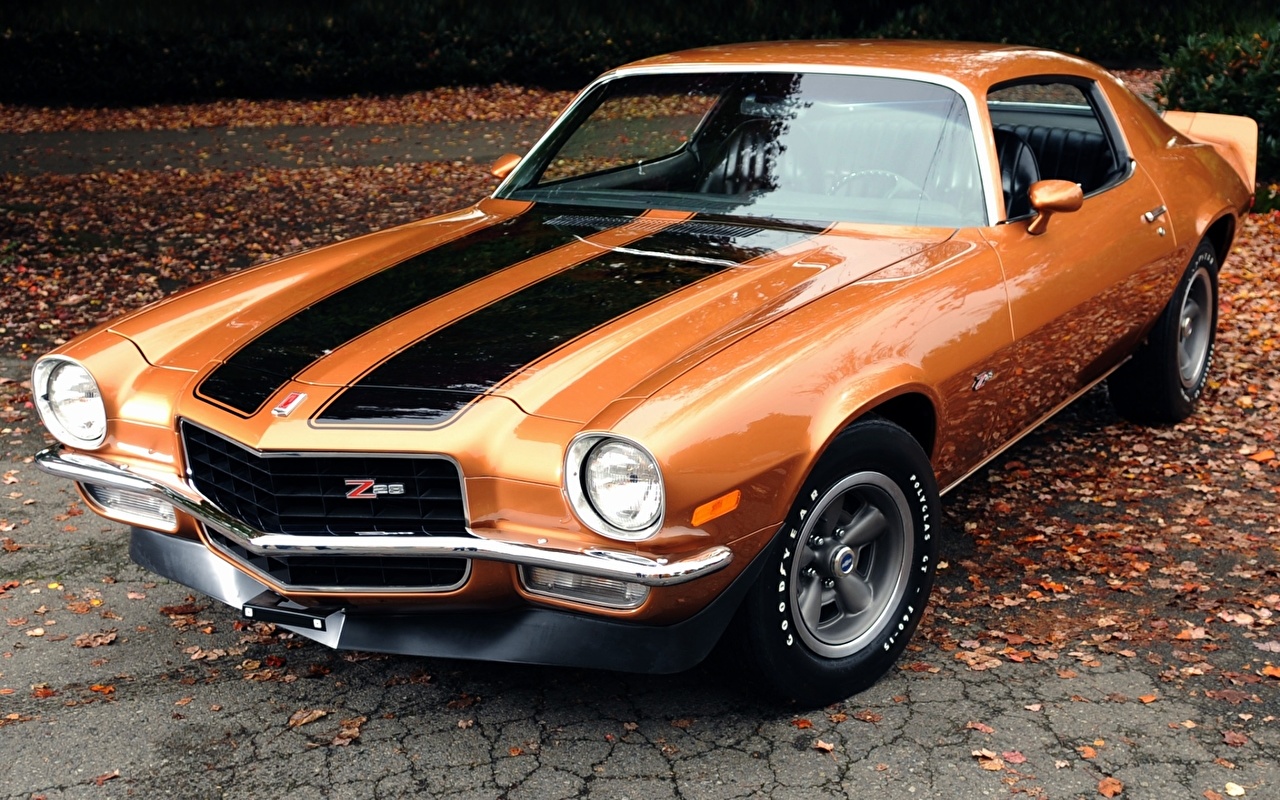 image Chevrolet Camaro Z28 1971 auto