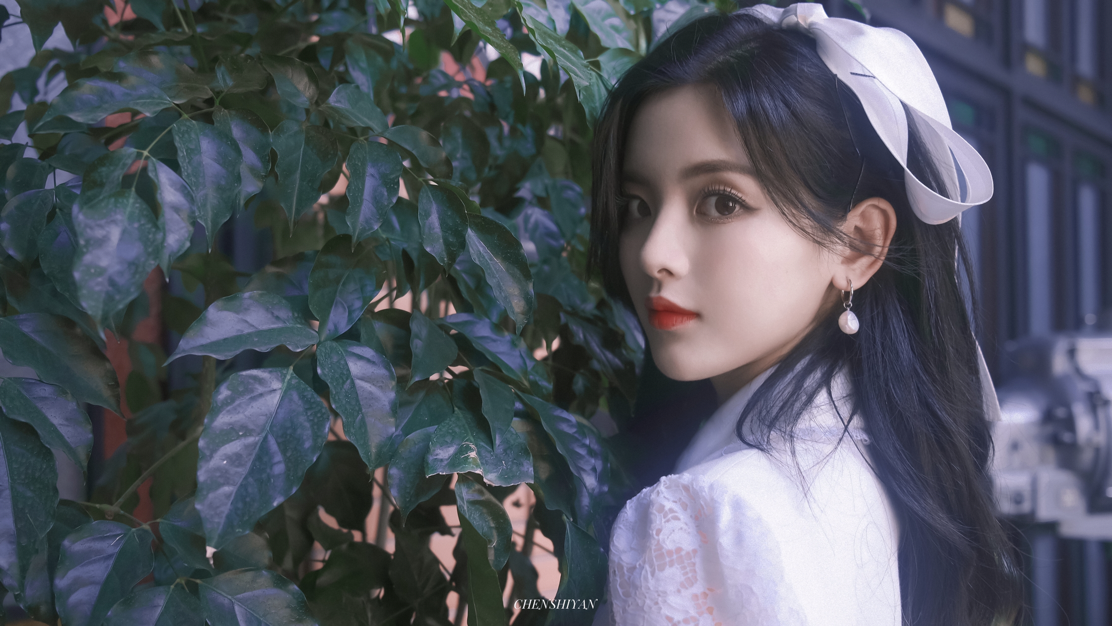 Yang Chaoyue, Asian, women, face, celebrity, Chinesex1242 Wallpaper