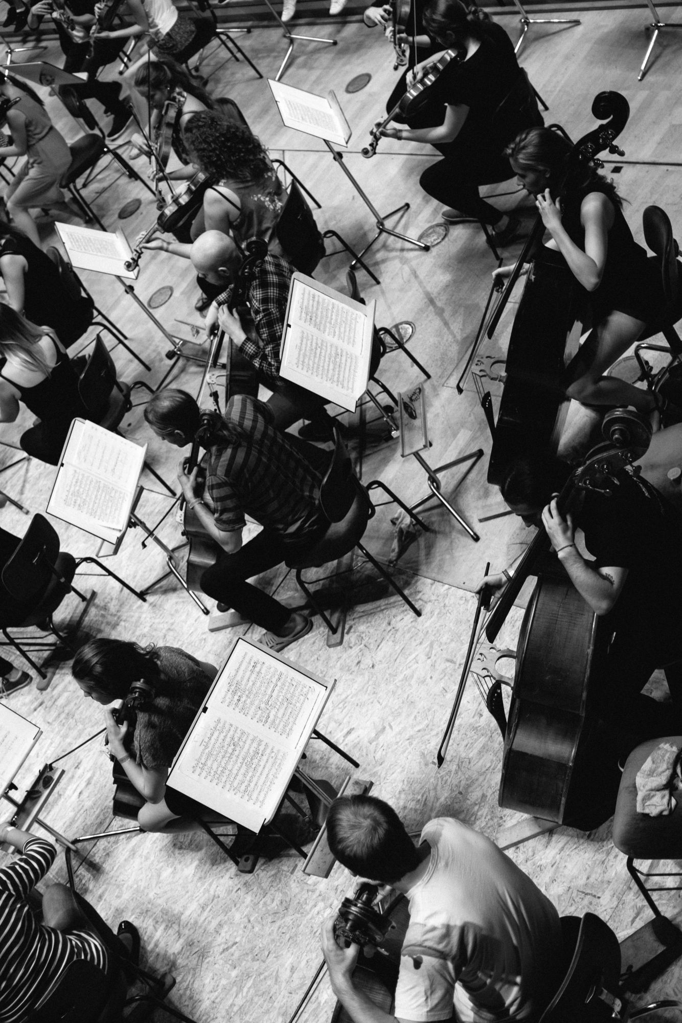 String section in orchestra. Free Stock Image