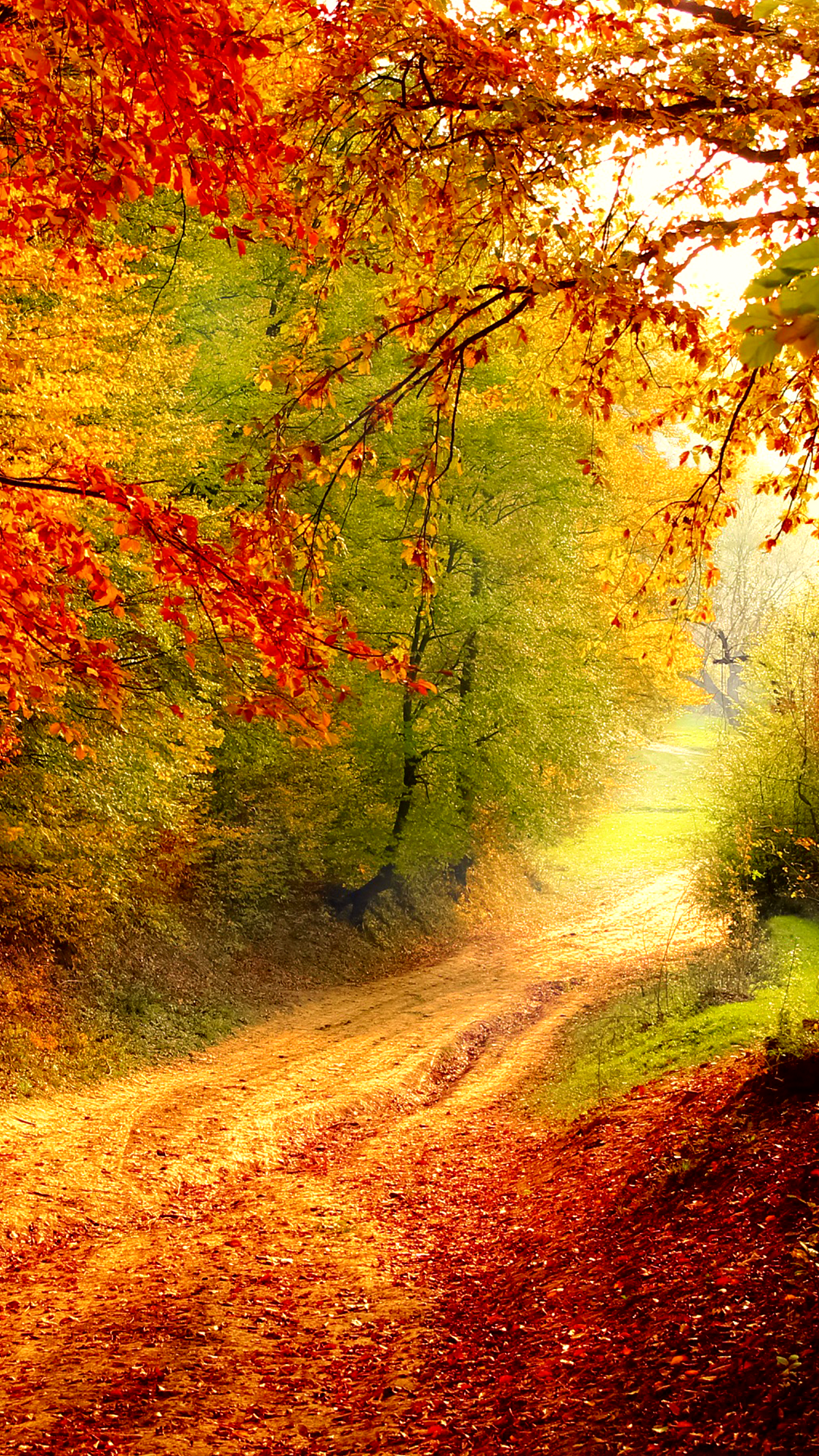 Autumn Bend Mobile WallpaperK