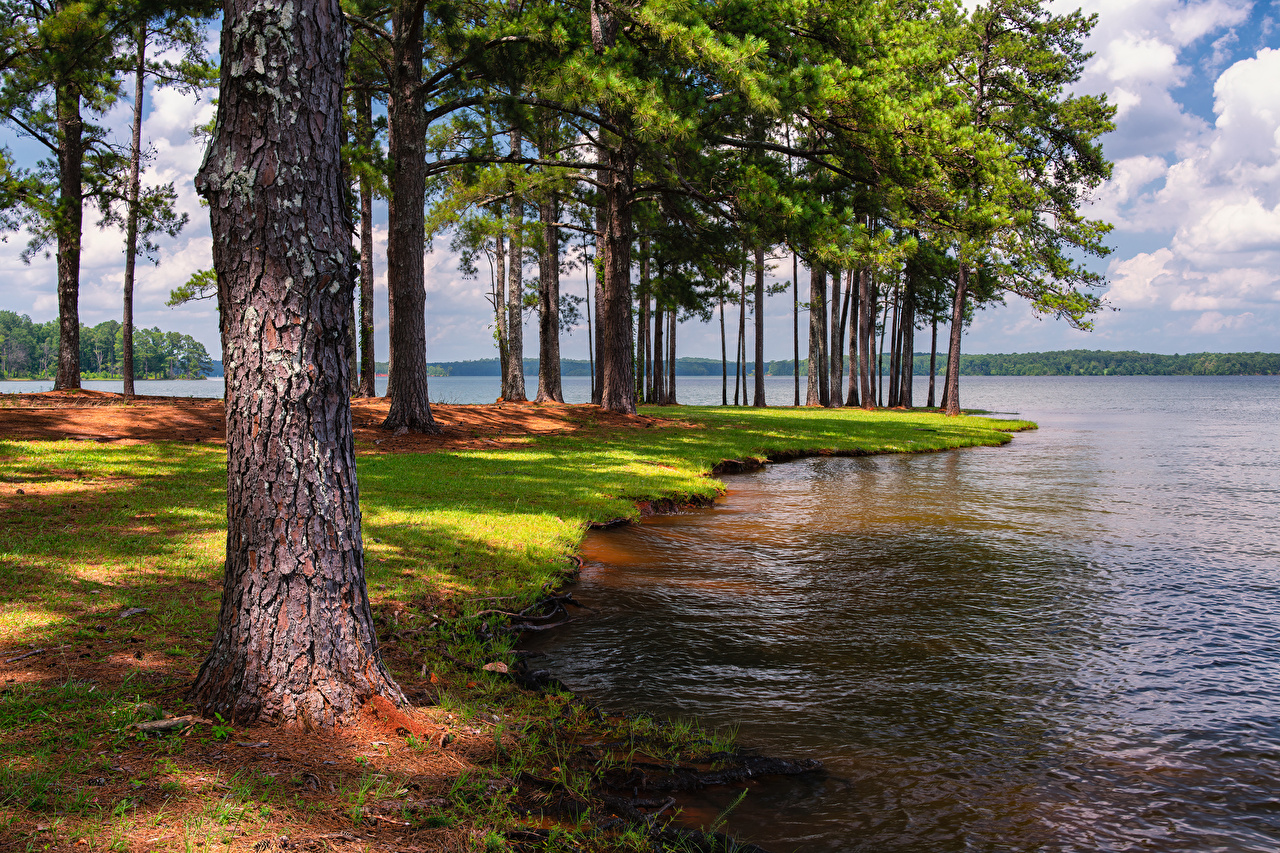 Desktop Wallpaper Florida USA Anderson Park West Point Lake Nature