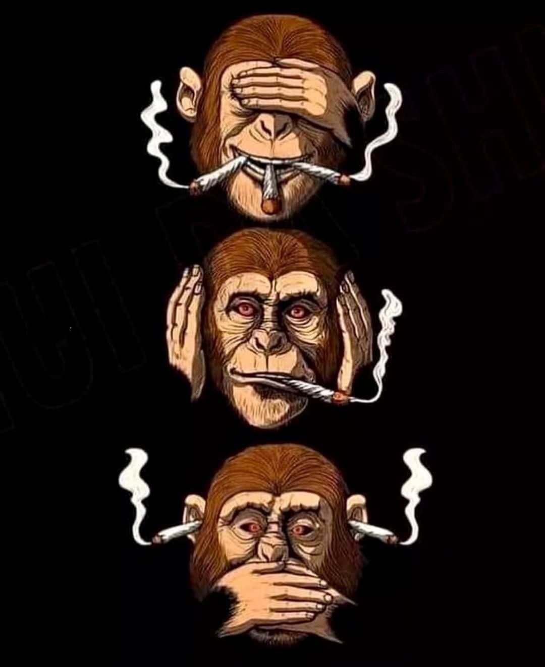 Hear No Speak No Evil