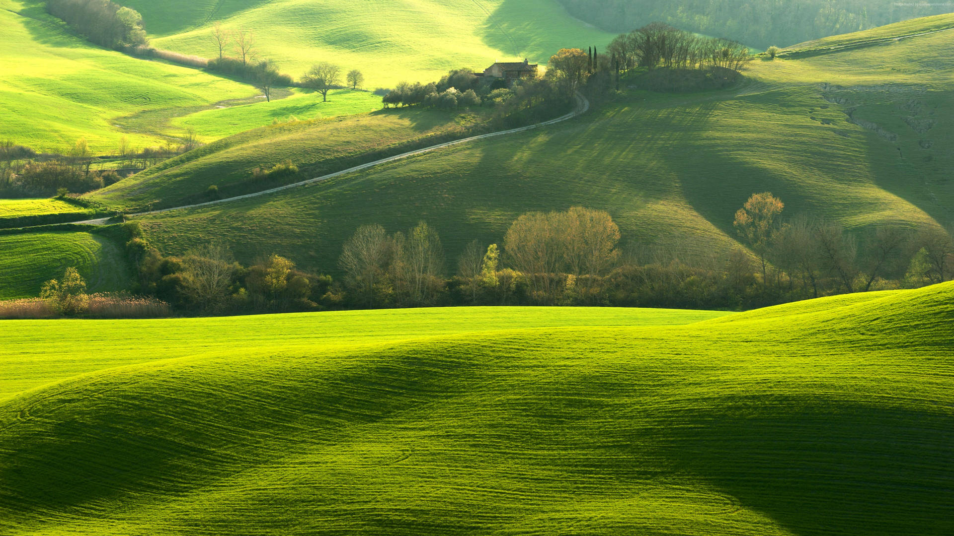 Download Hilly Landscape Of Tuscany Italy Wallpaper