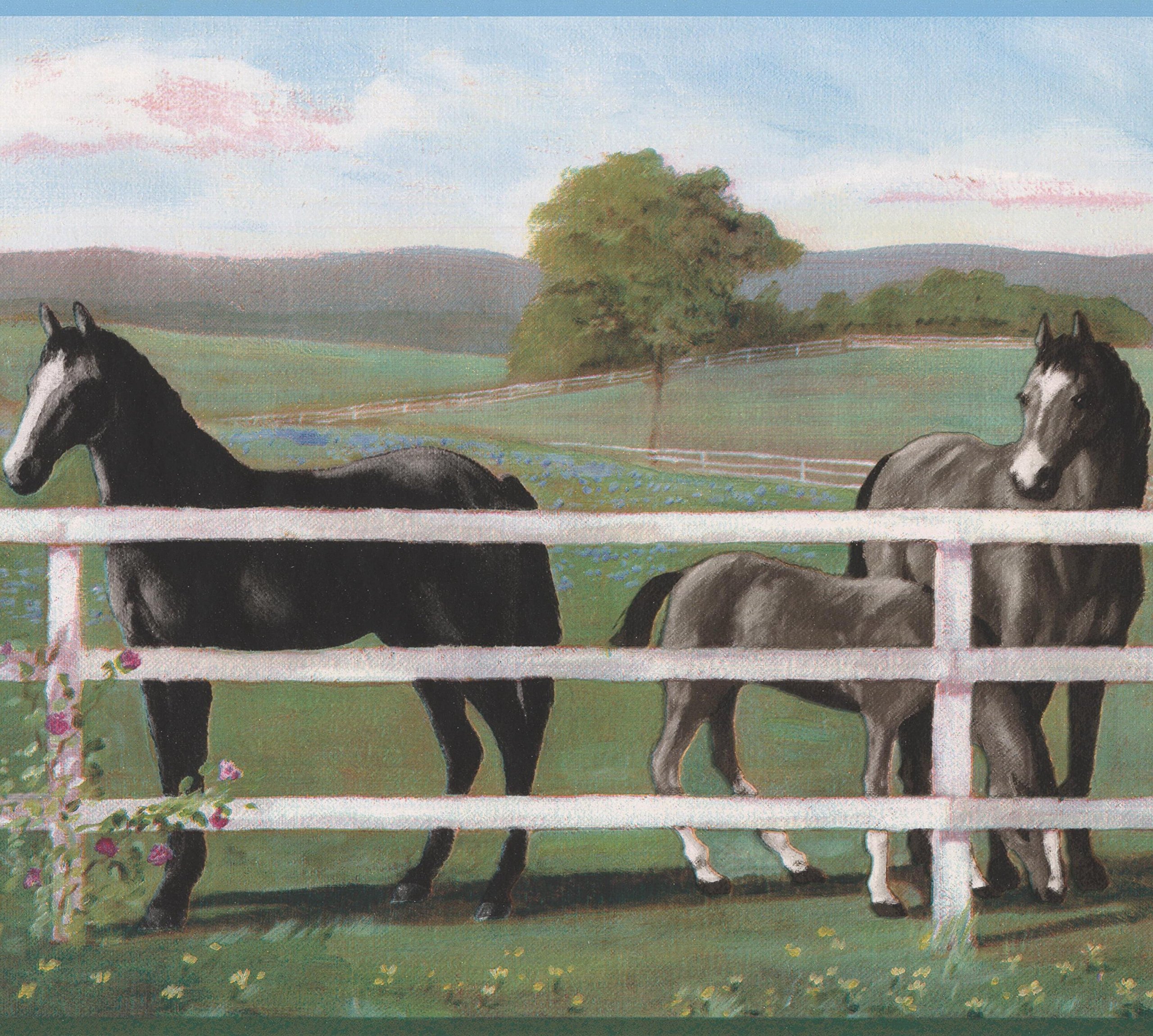Black Horse behind White Fence Farm Wallpaper Border Retro Design, Roll 15' x 9''