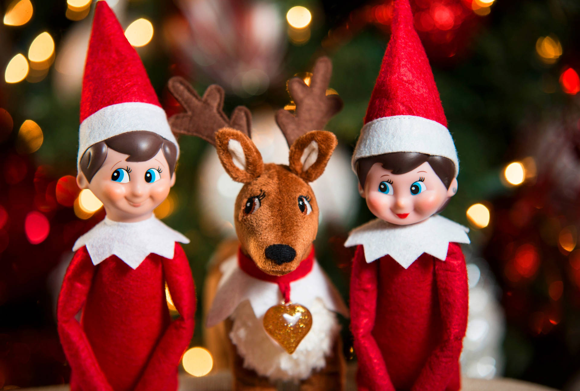 Download Christmas Elf With A Reindeer Wallpaper
