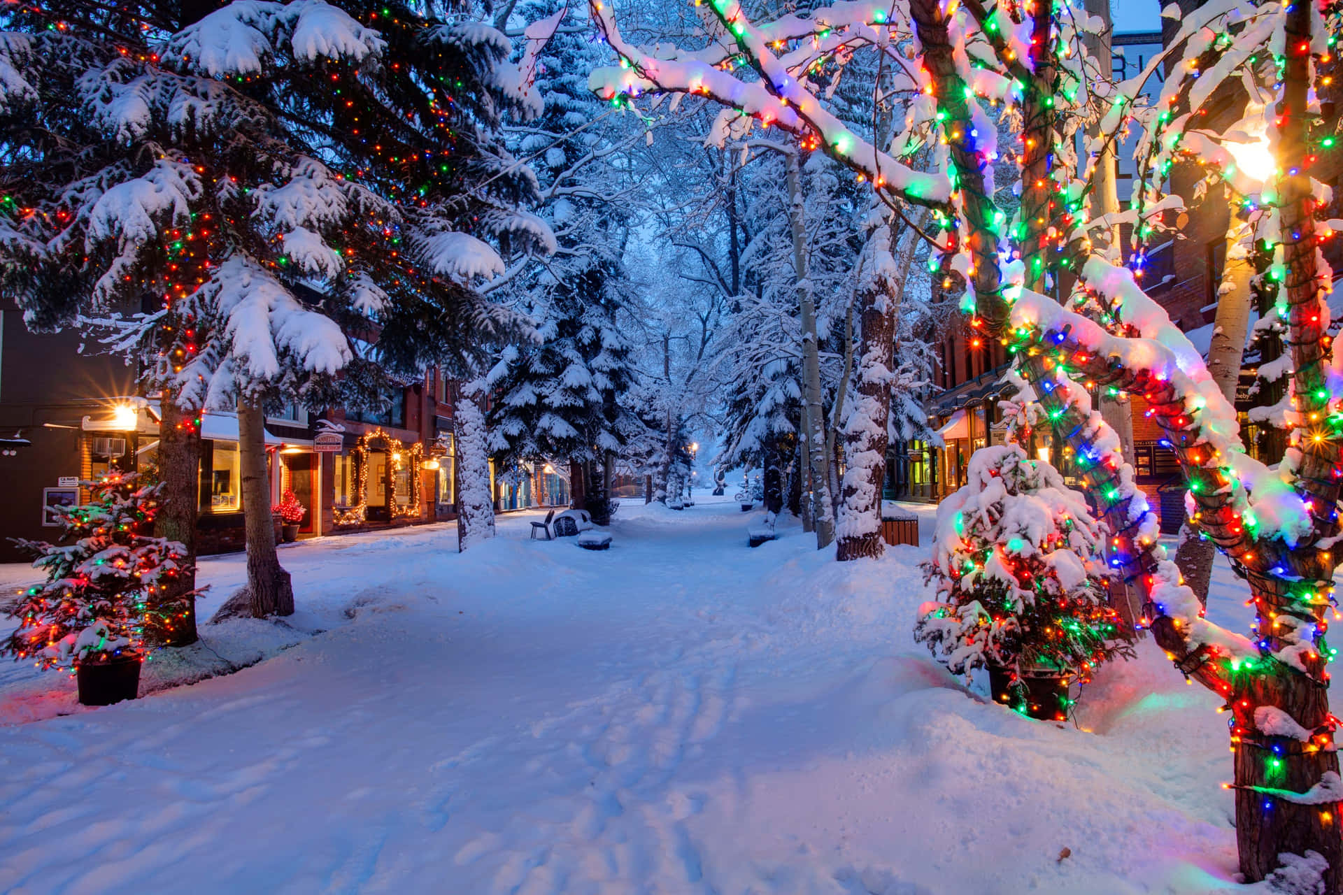 Download A Snowy Street With Christmas Lights And Trees