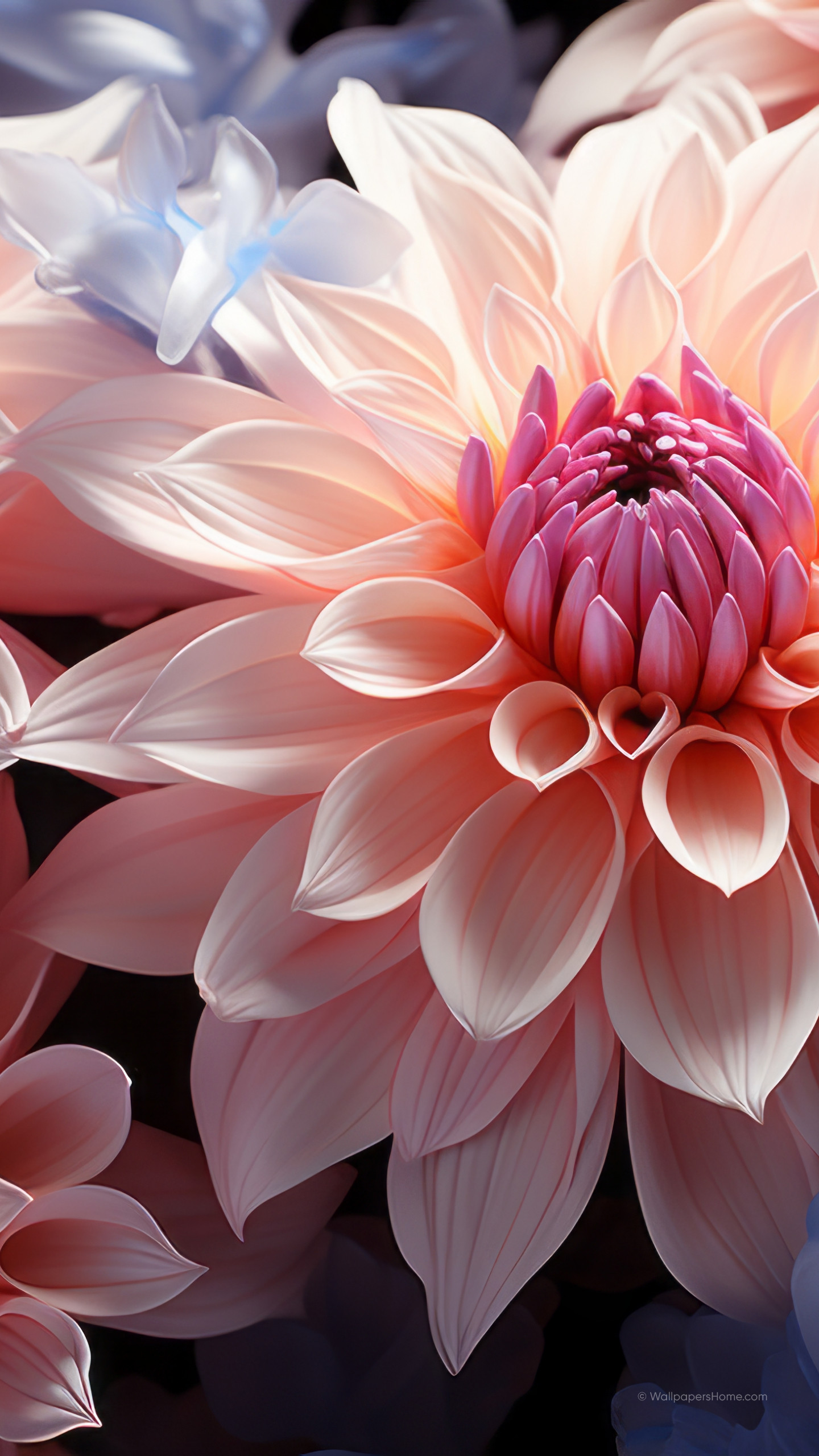 Wallpaper iPhone 15, abstract, flowers