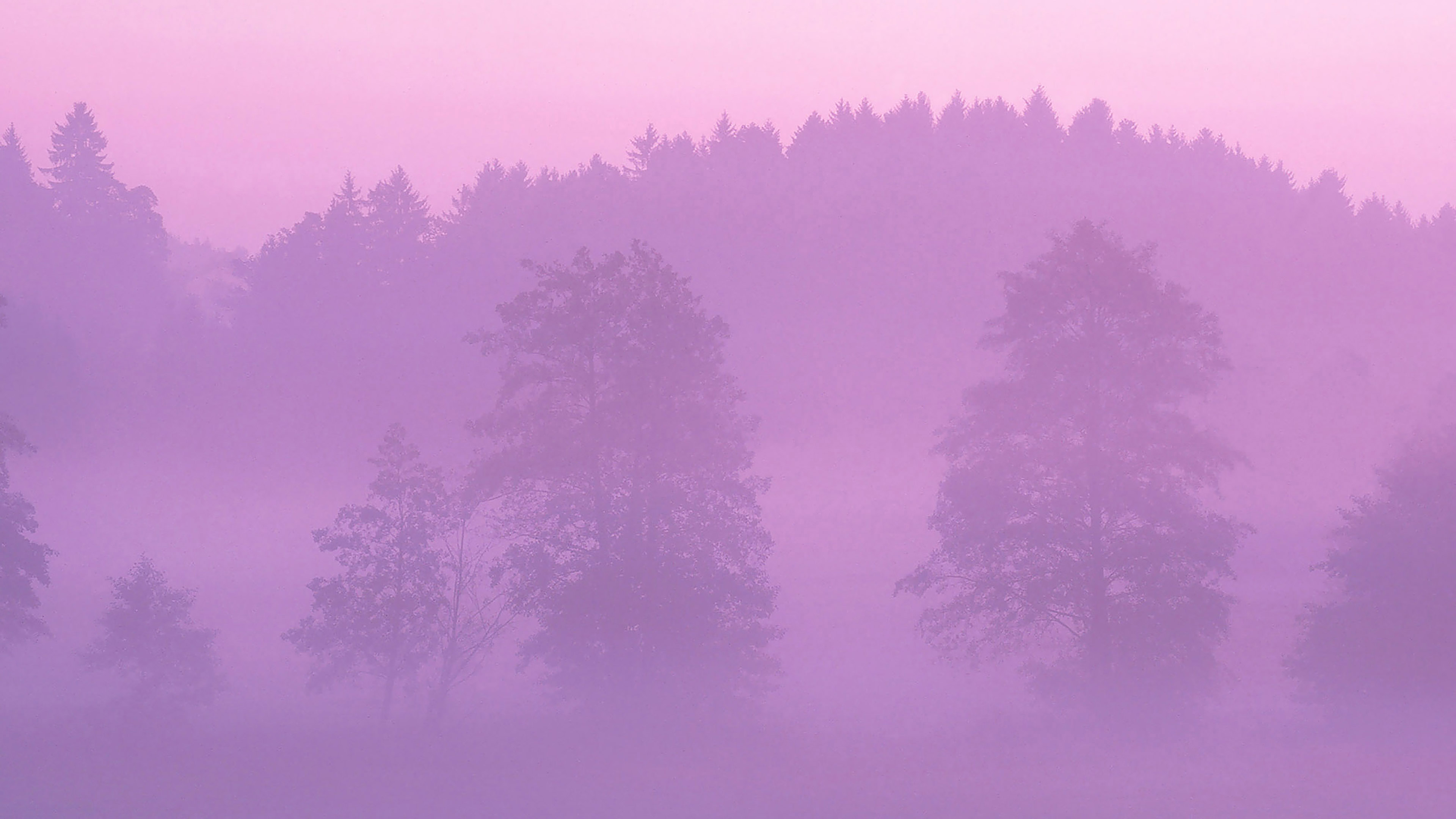 wallpaper for desktop, laptop. misty pink forest mountain nature