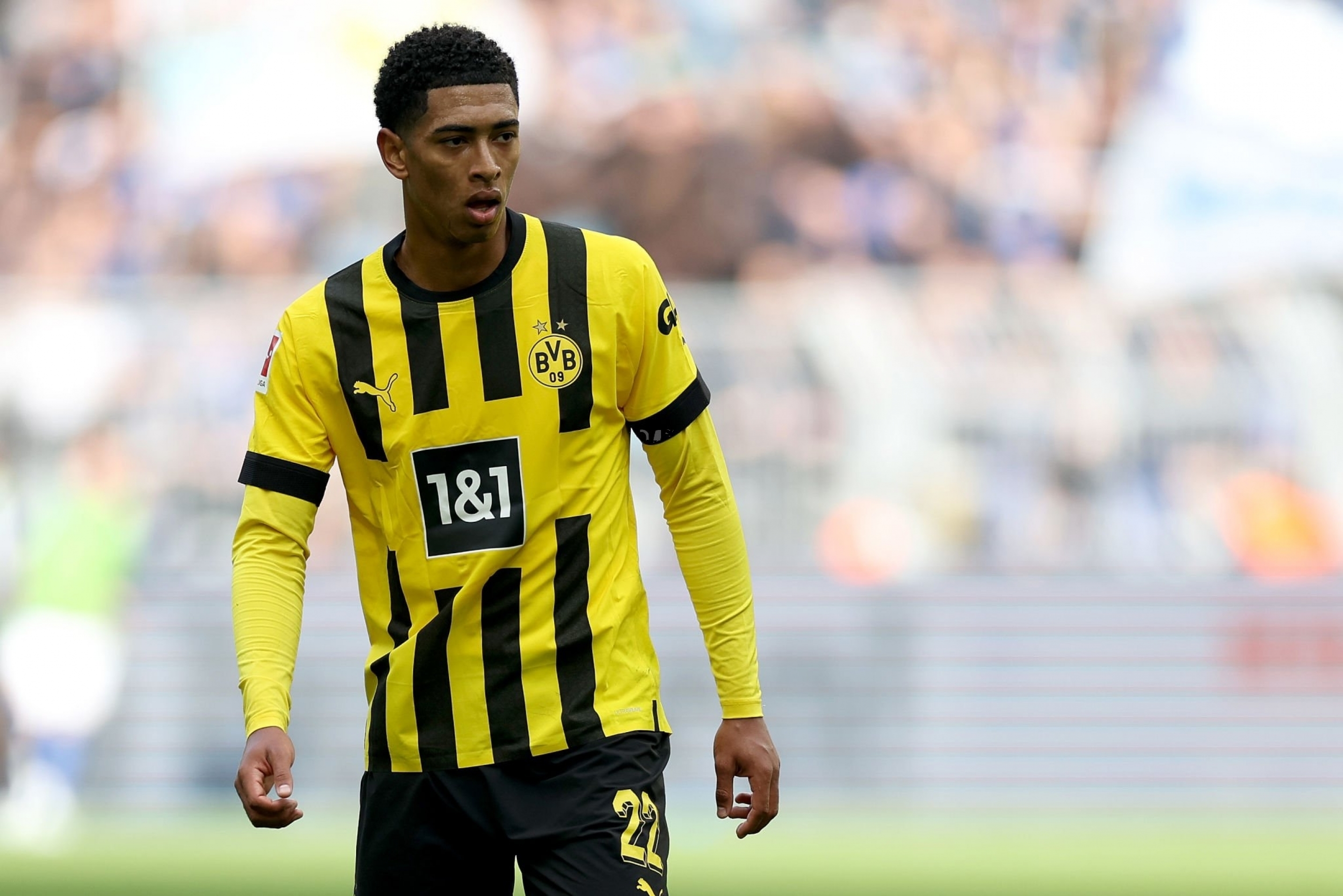 Jude Bellingham HD Wallpaper and Background