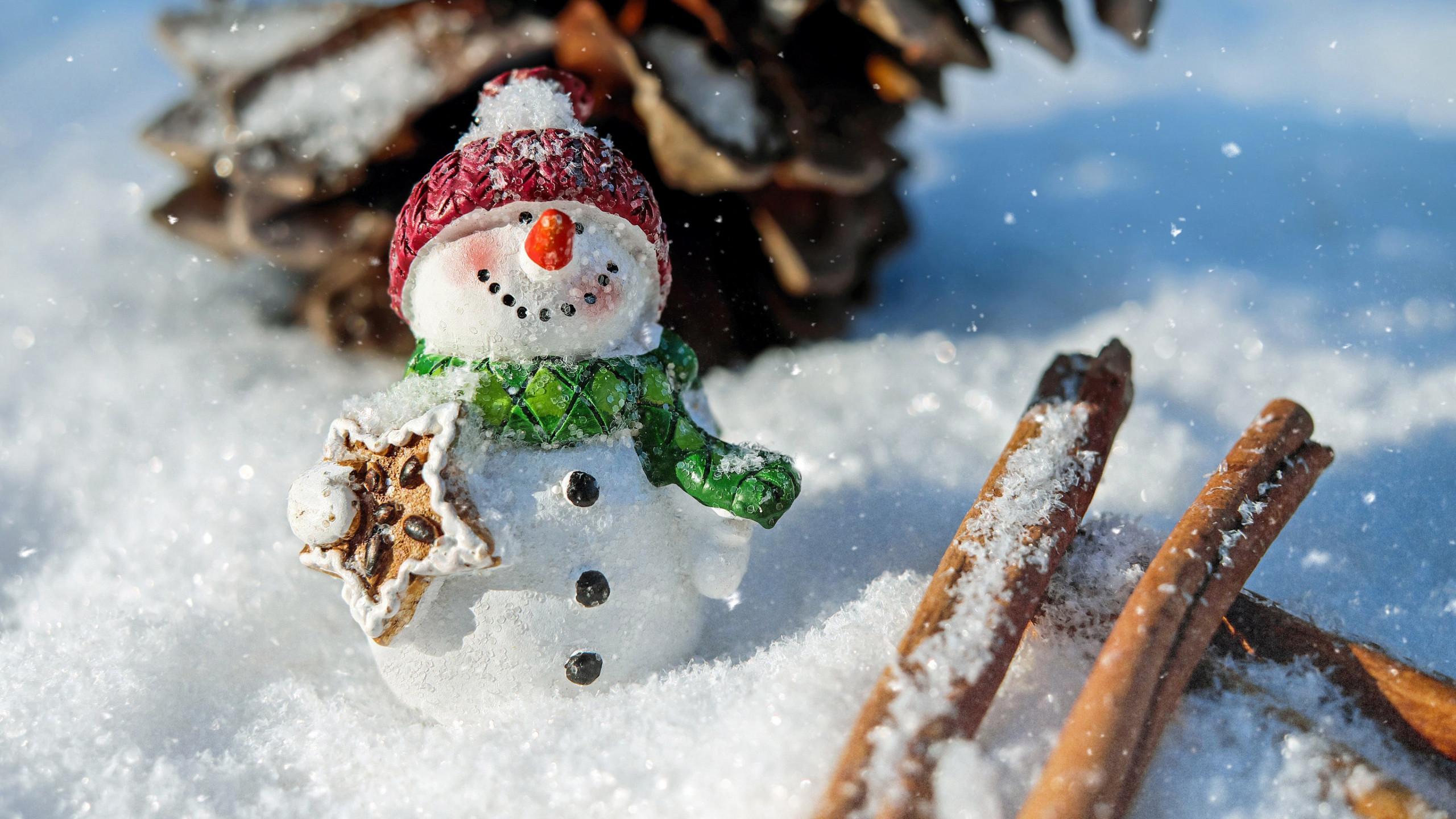 4K Snow Wallpaper Full HD 47756