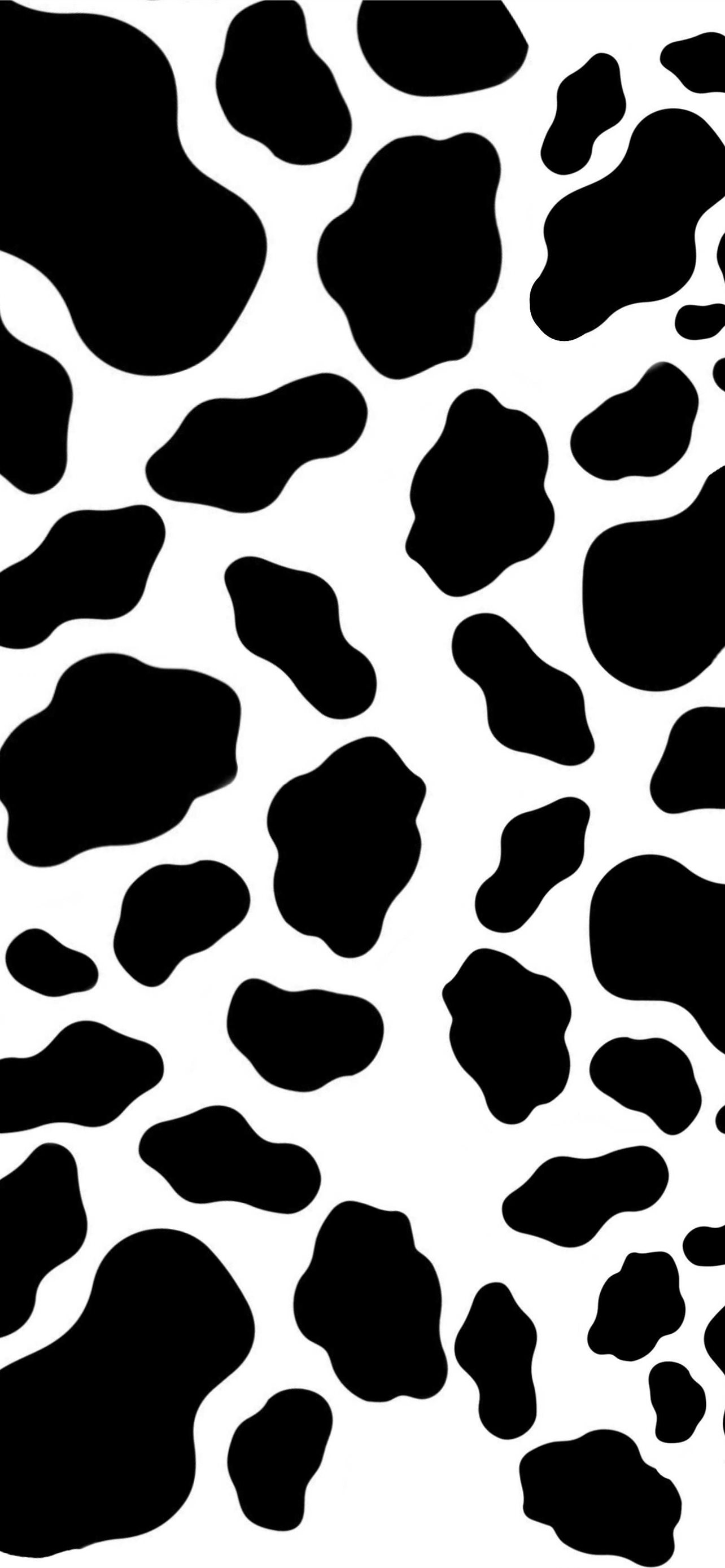 Best Cow iPhone HD Wallpaper
