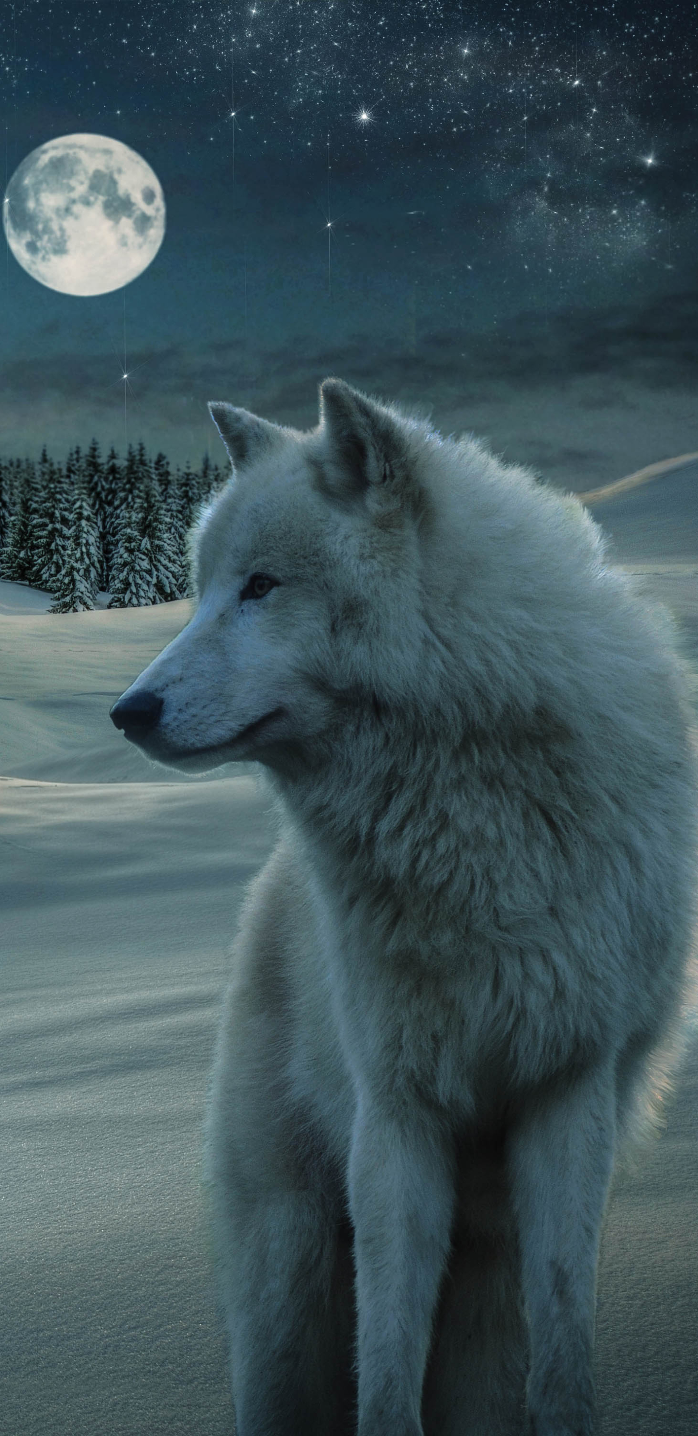 Download White Wolf wallpaper for mobile phone, free White Wolf HD picture