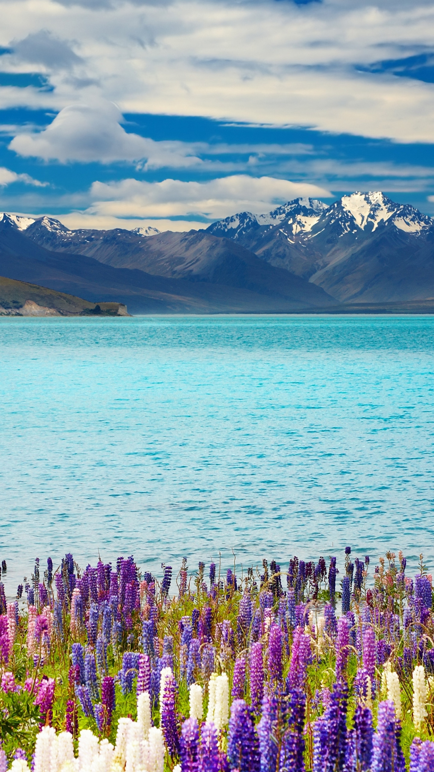 Wallpaper Lake Tekapo, New Zealand, mountains, flower, 4k, Nature