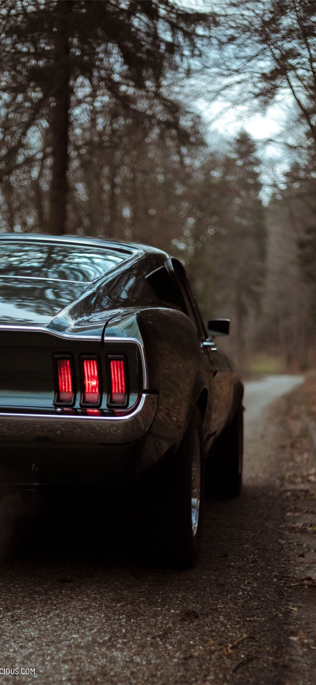 ford mustang boss 429. Ford mustang wallpaper, Ford mustang gt, Mustang wallpaper