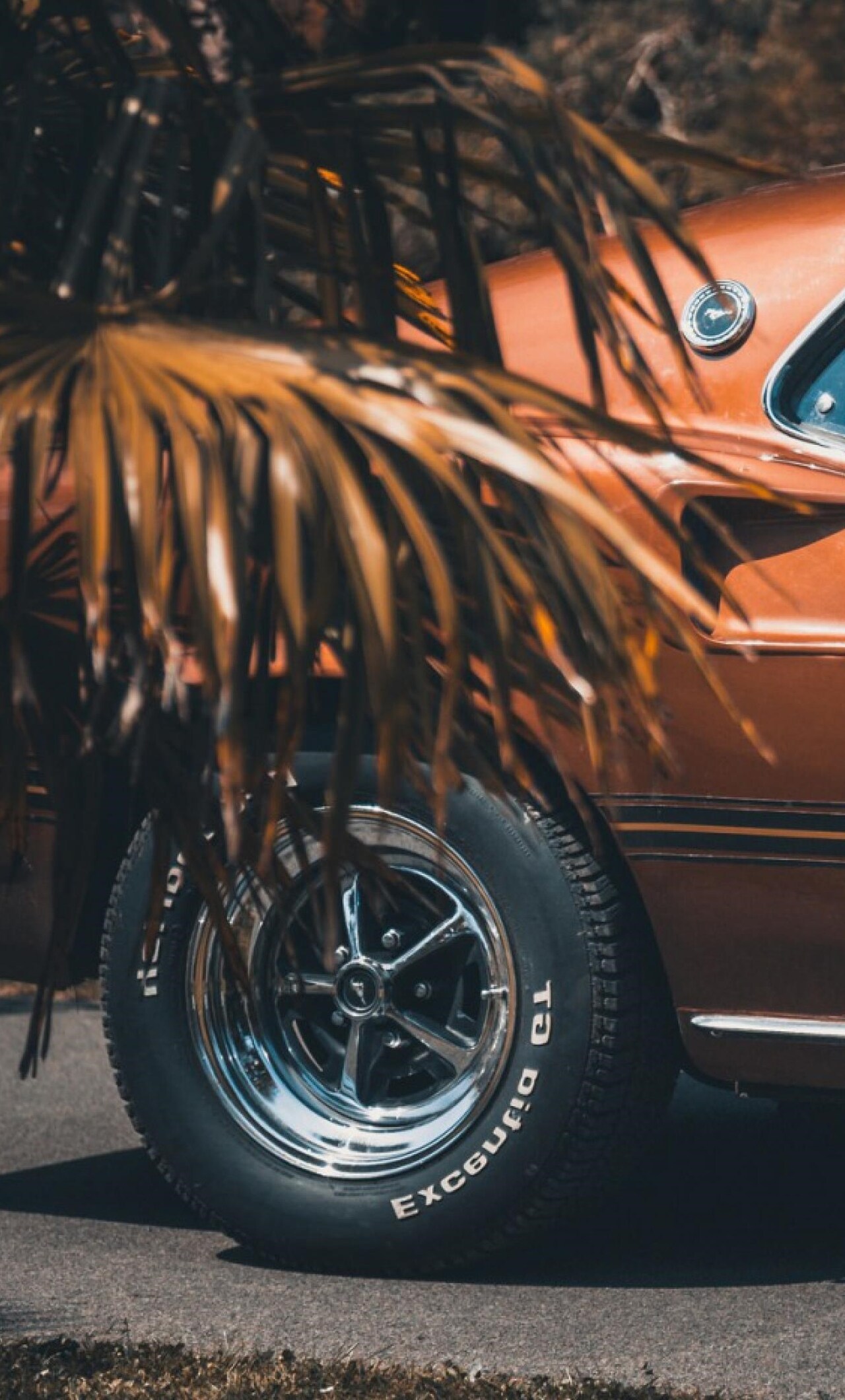 Ford Mustang 1969 iPhone , HD 4k Wallpaper, Image, Background, Photo and Picture