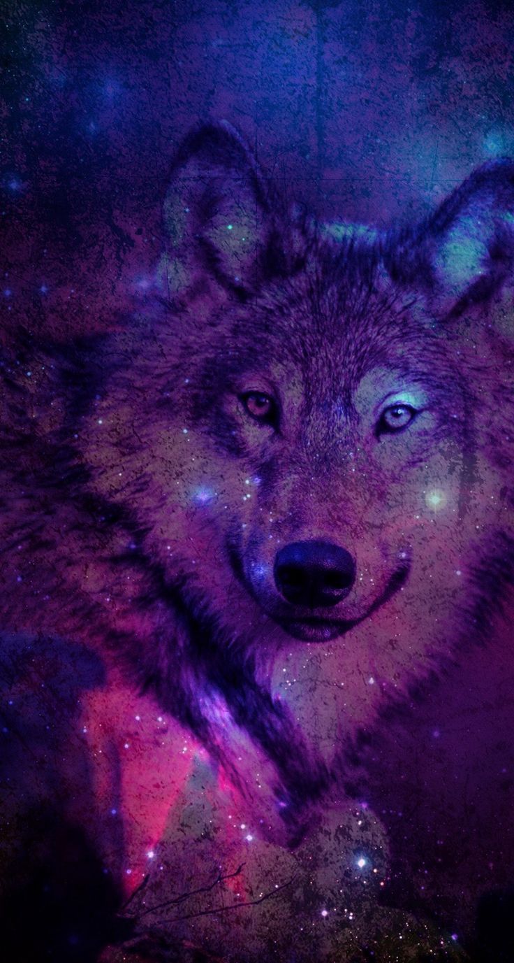 Wolf Galaxy iPhone Wallpaper. .com