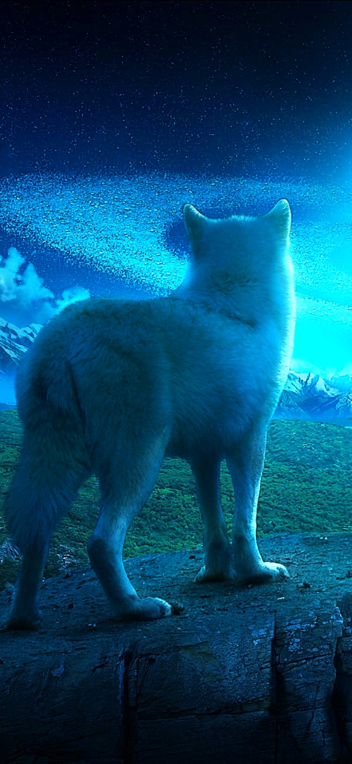 Wolf Phone Wallpaper