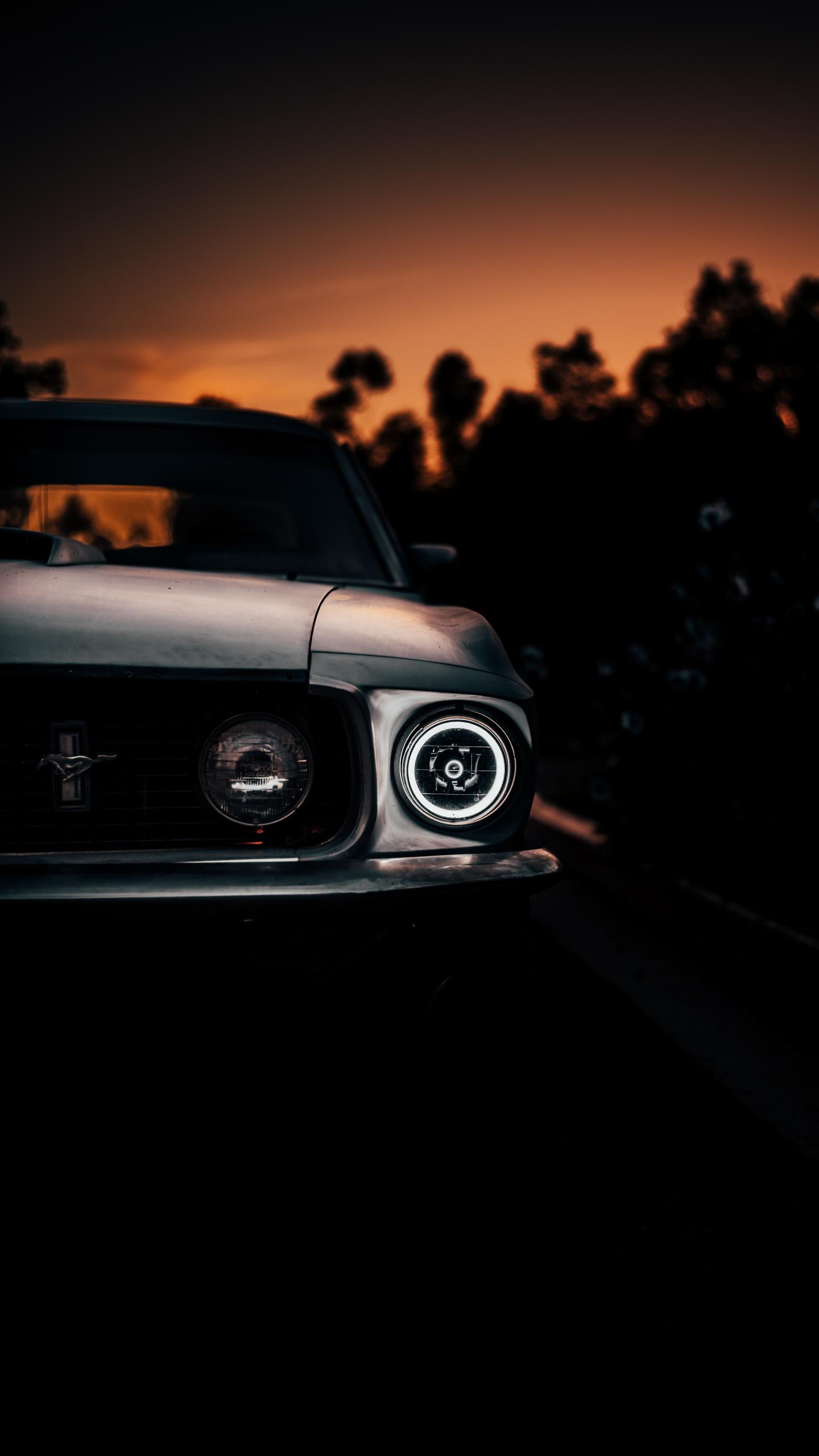 Mustang at sunset