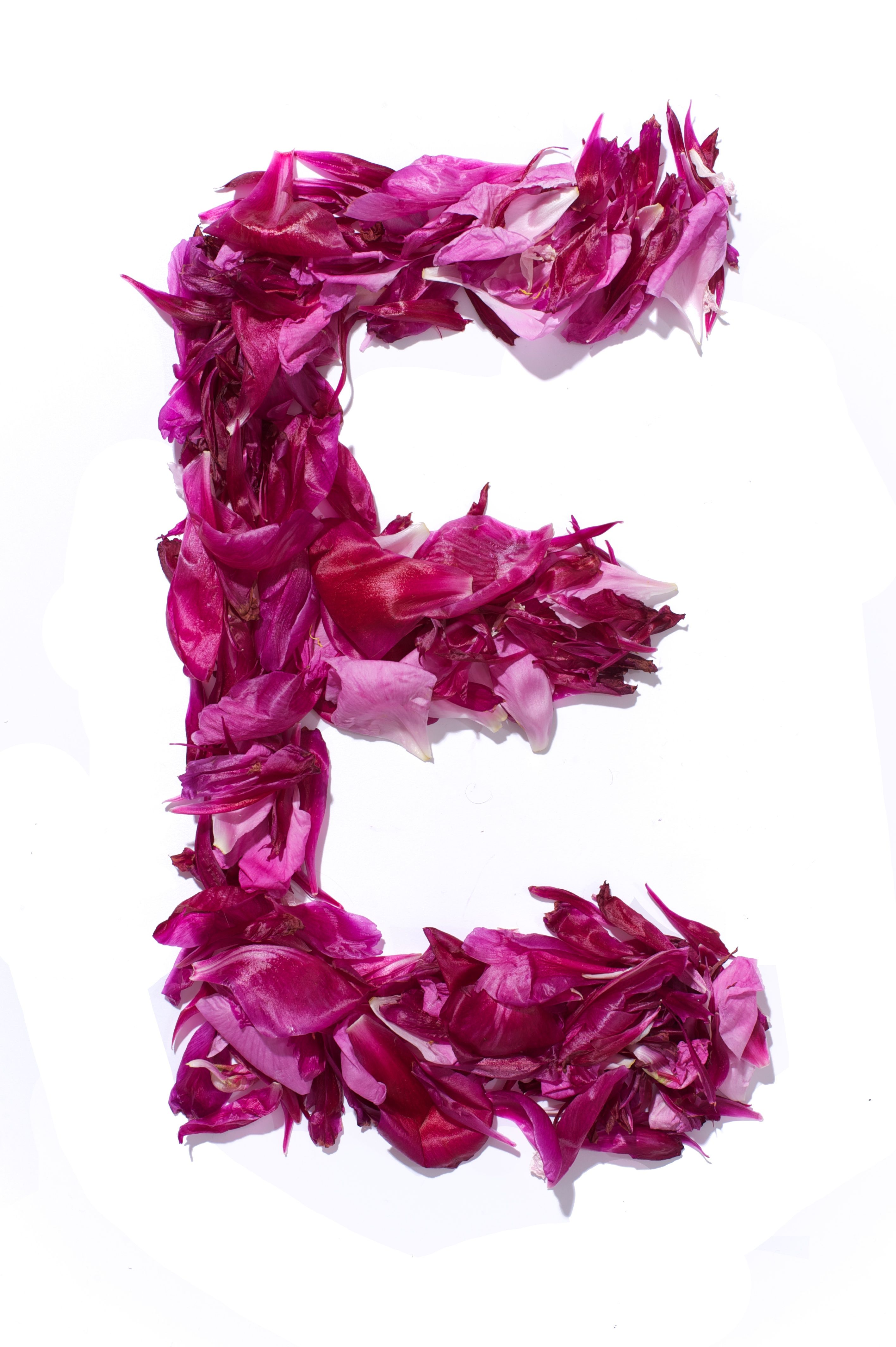 Give me an E!. Floral letters, Flower alphabet, Printable flower coloring pages