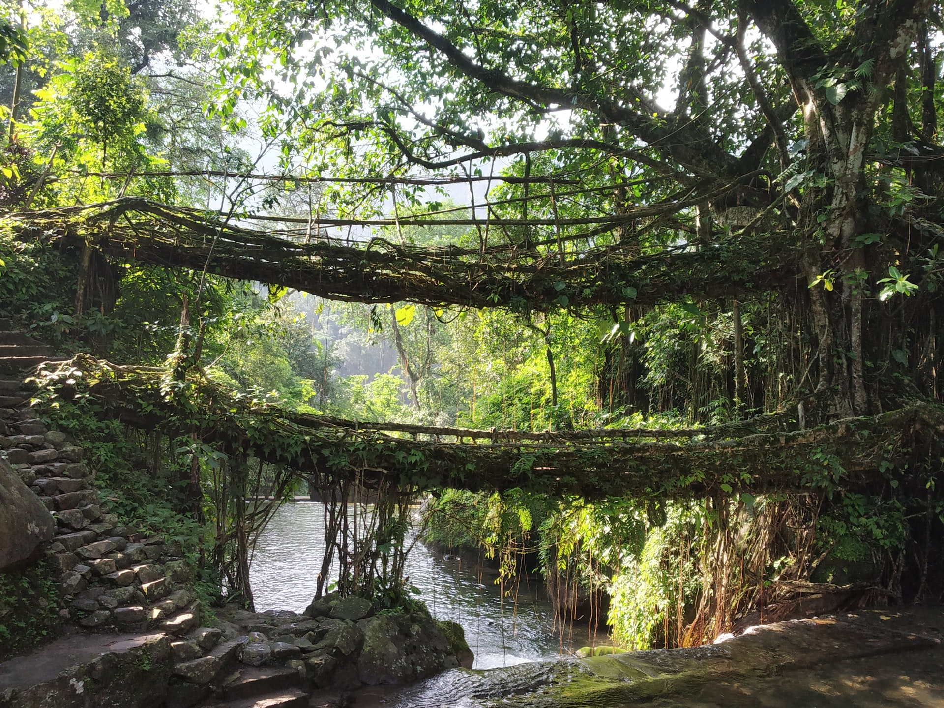 Mystical Mists of Meghalaya to do in Cherrapunji