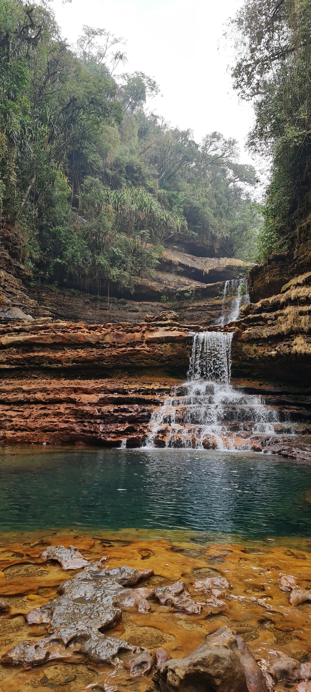 A small waterfall in the middle of a forest photo