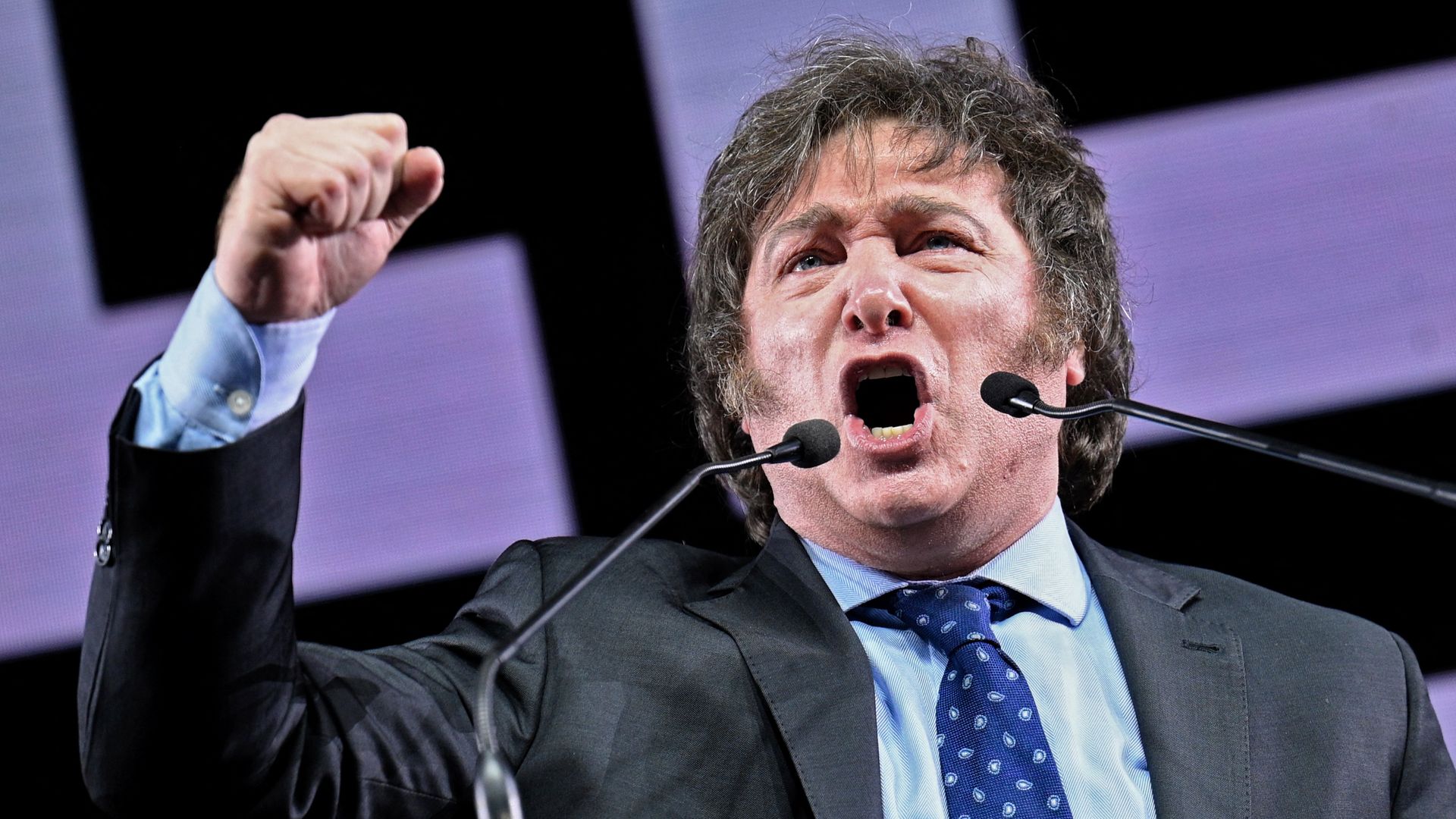 Javier Milei Argentina's New Right Wing Economist President