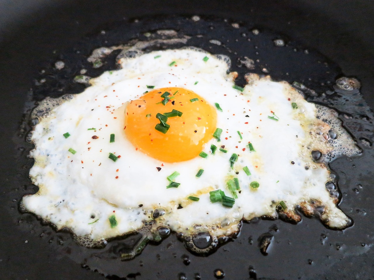 Fried Egg Yolk