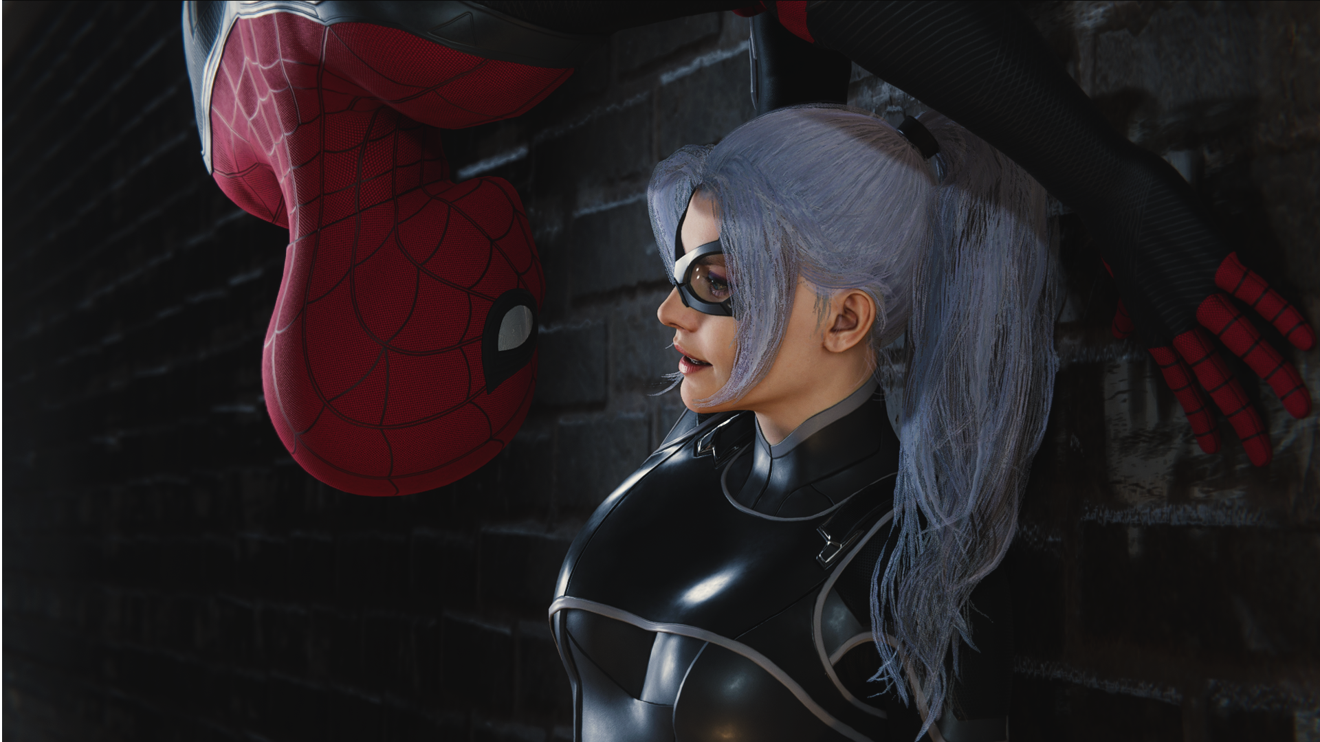 Spider Man And Black Cat