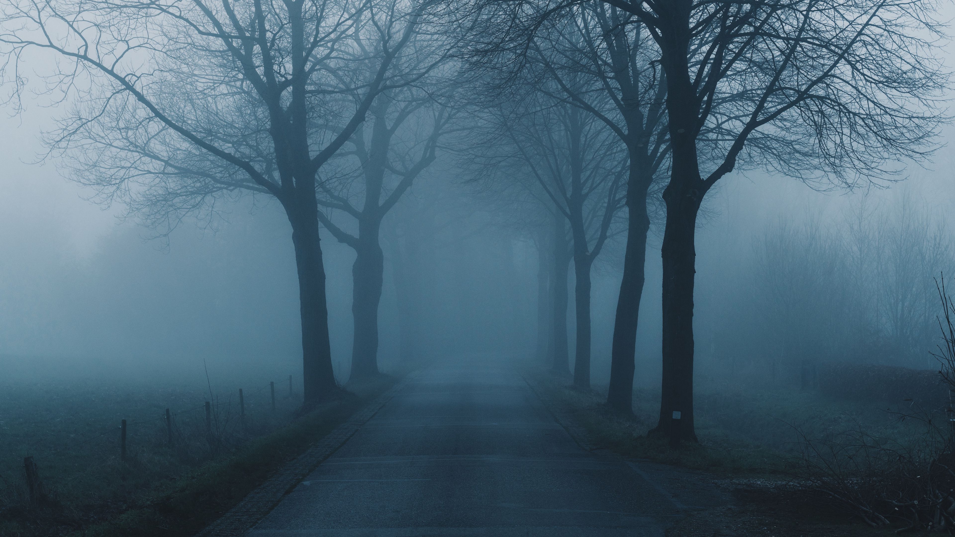 Download wallpaper 3840x2160 fog, trees, road, haze, nature 4k uhd 16:9 HD background