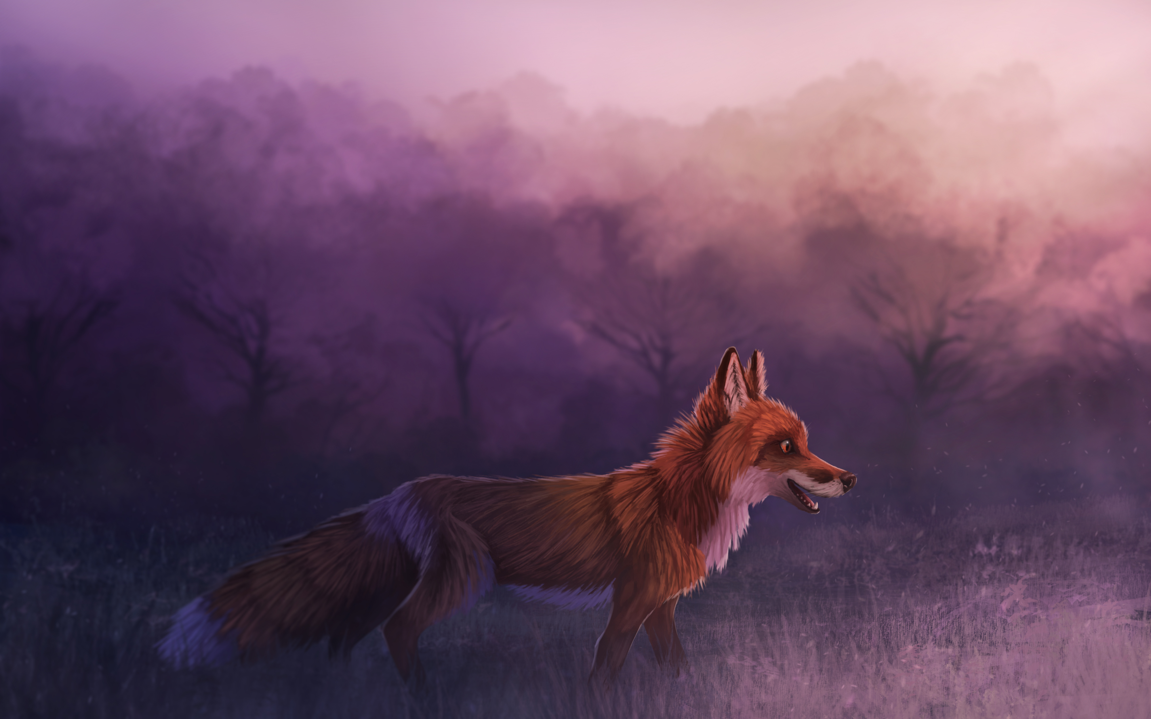 Misty Red Fox 4k Wallpaper, HD Animals Wallpaper, 4k Wallpaper, Image, Background, Photos and Picture