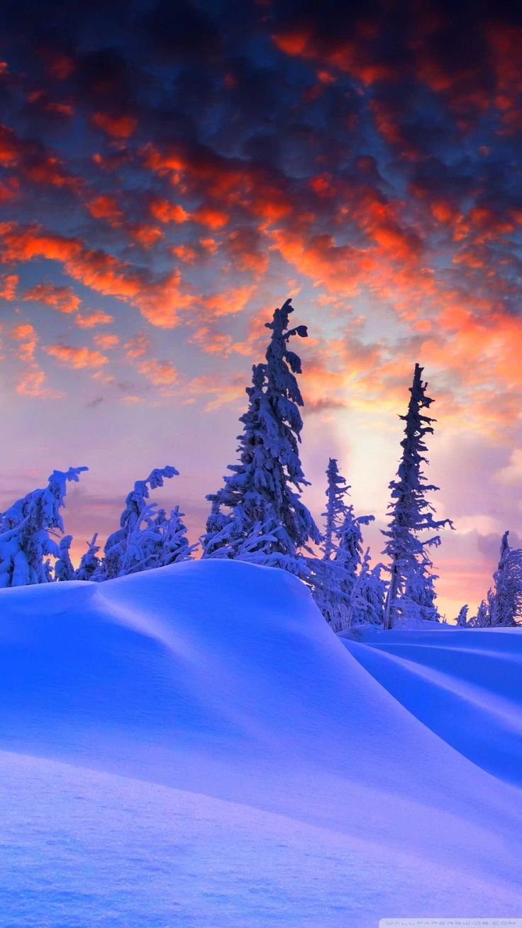 Snow iPhone Wallpaper. iPhone wallpaper winter, Landscape wallpaper, Winter wallpaper