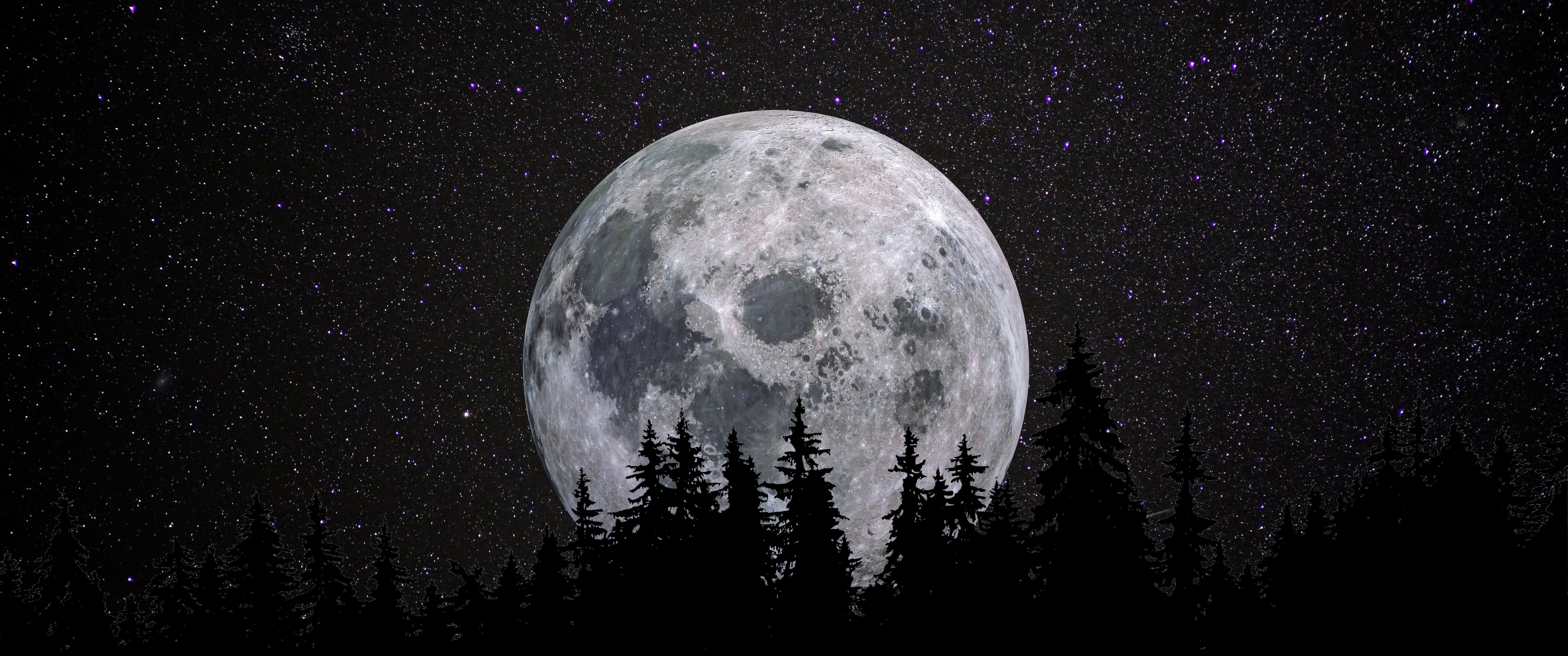 Full moon Wallpaper 4K, Forest, Night, Dark, Starry sky