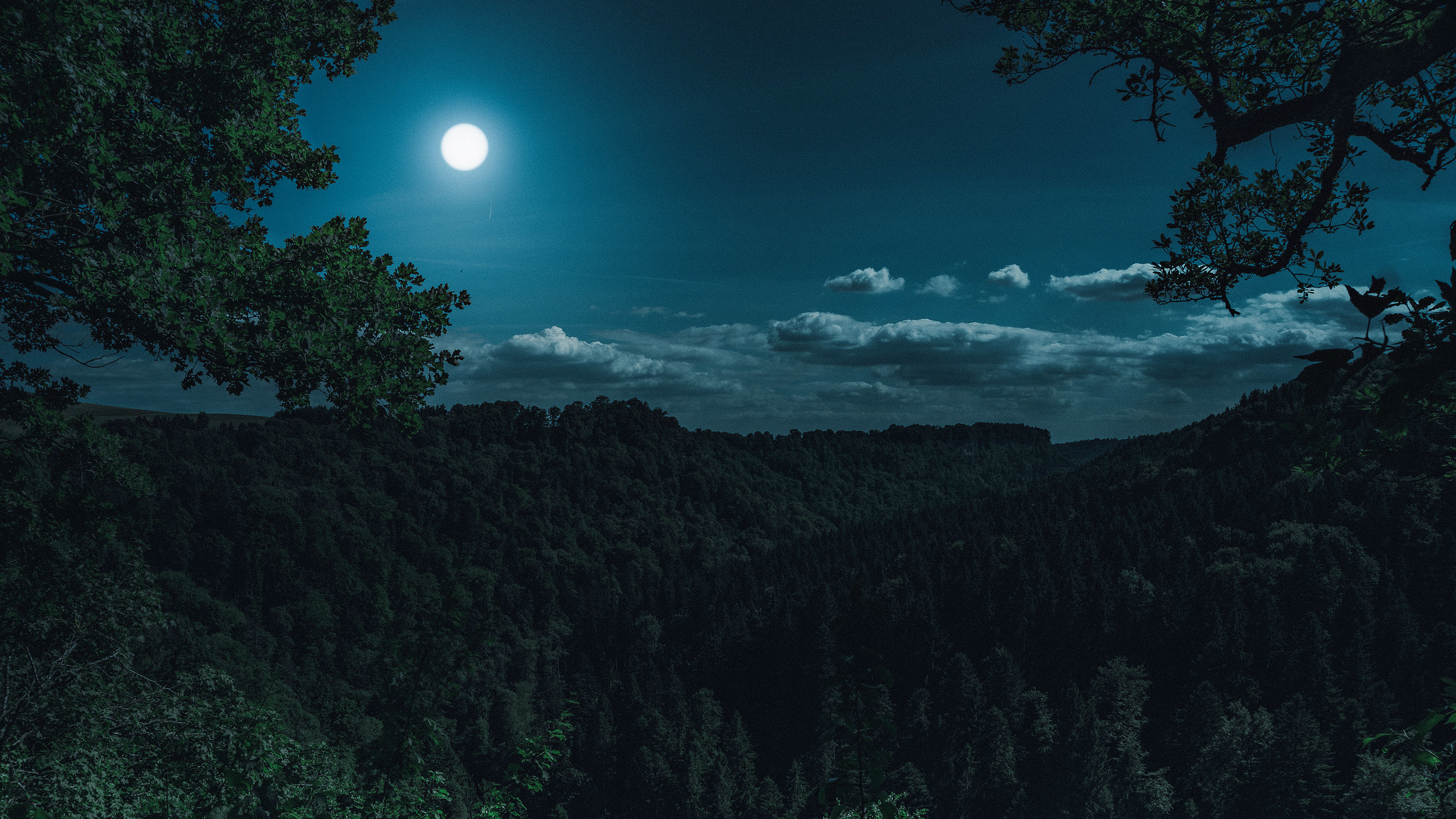 Moonshine Wallpaper 4K