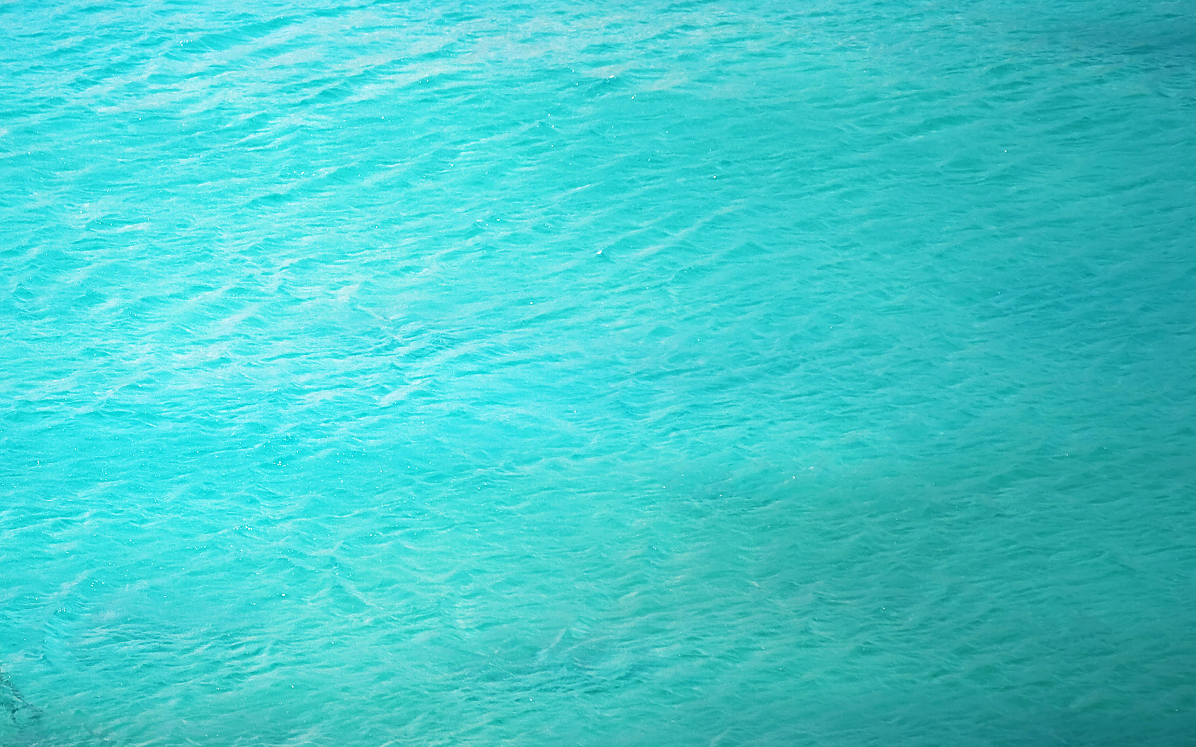desktop, laptop. clear sea ocean life