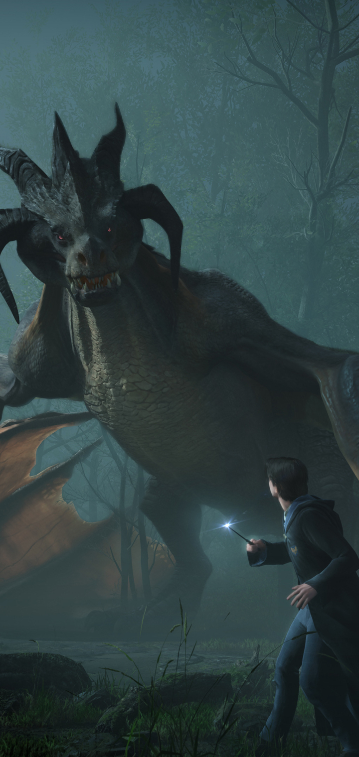 Download Hogwarts Legacy wallpaper for mobile phone, free Hogwarts Legacy HD picture