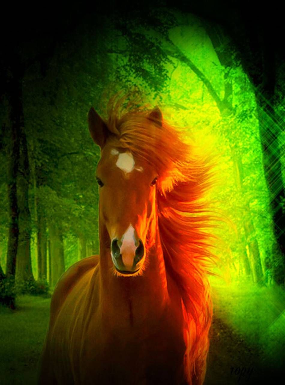 Download 3D Nature And Horse wallpaper by spring17 now. Browse millions of popular 3D Wallpaper and. Horses, Horse wallpaper, Pretty horses