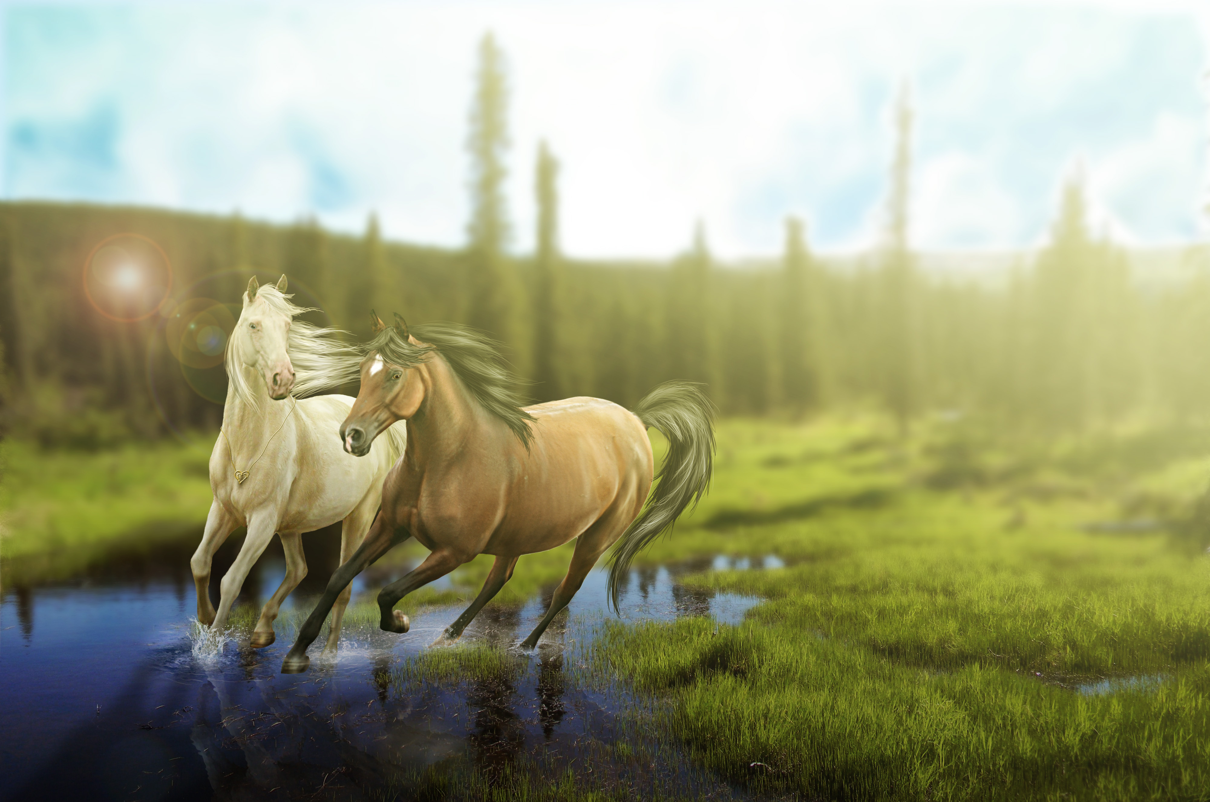 Desktop Wallpaper horse 3D Graphics Grass Animals 4000x2653