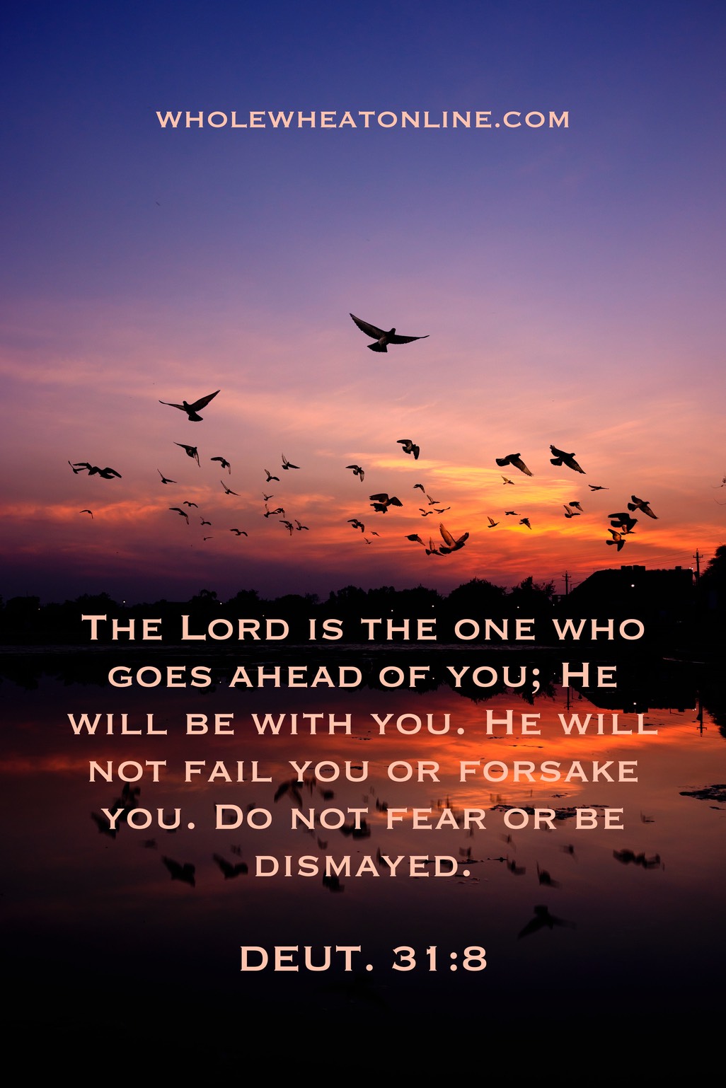 Whole Wheat Wallpaper